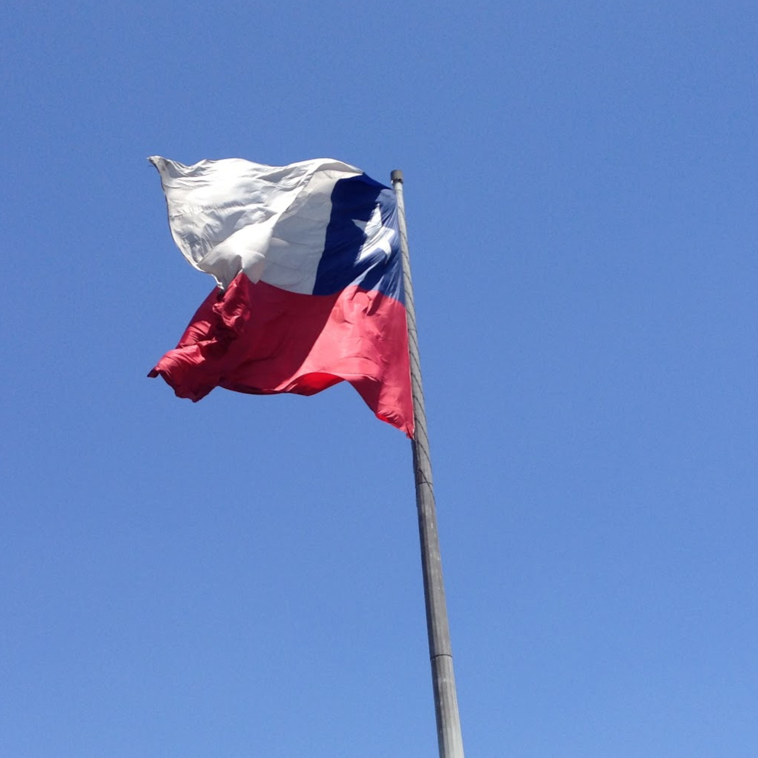 16| El Bicho en Santiago