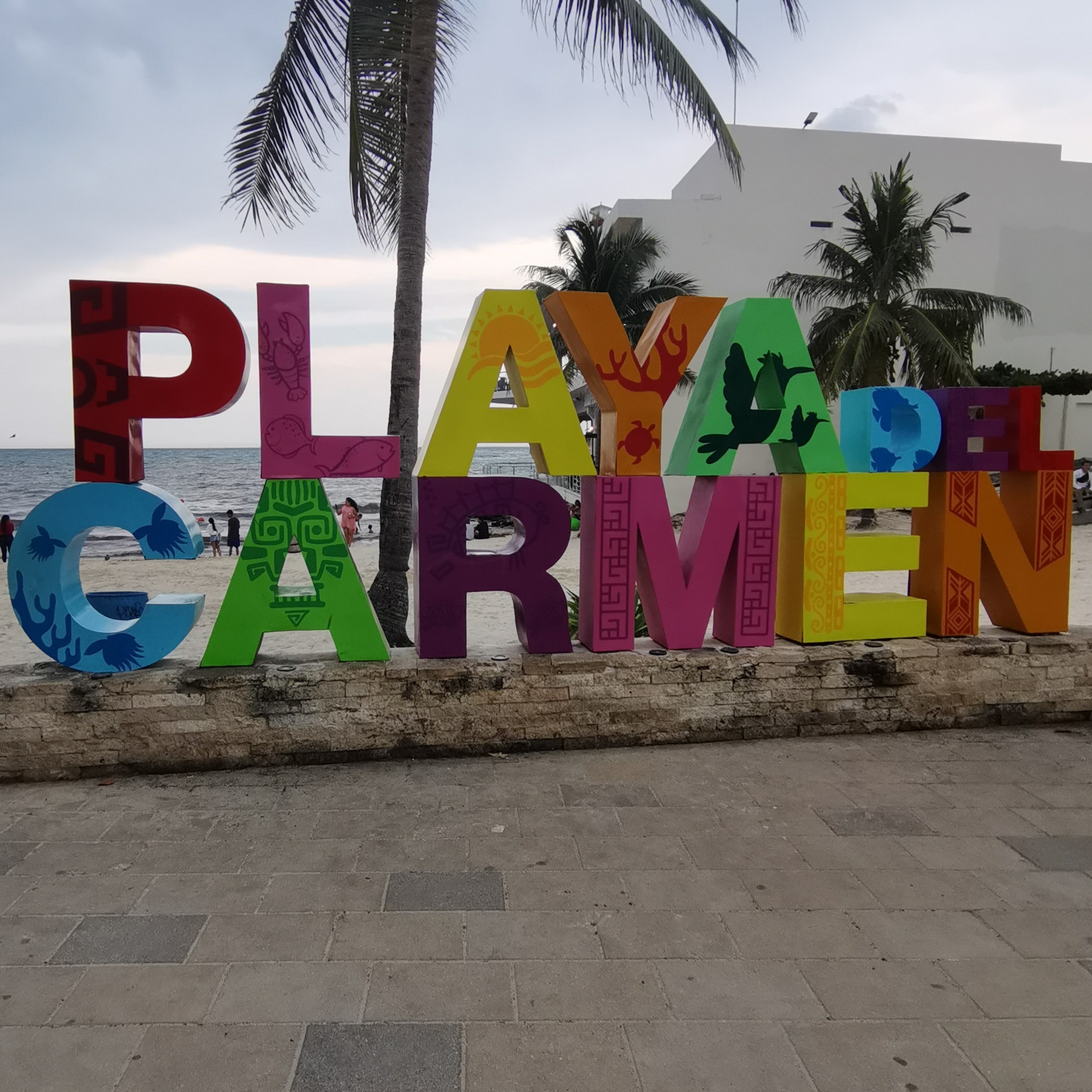 37| El Bicho en Playa del Carmen