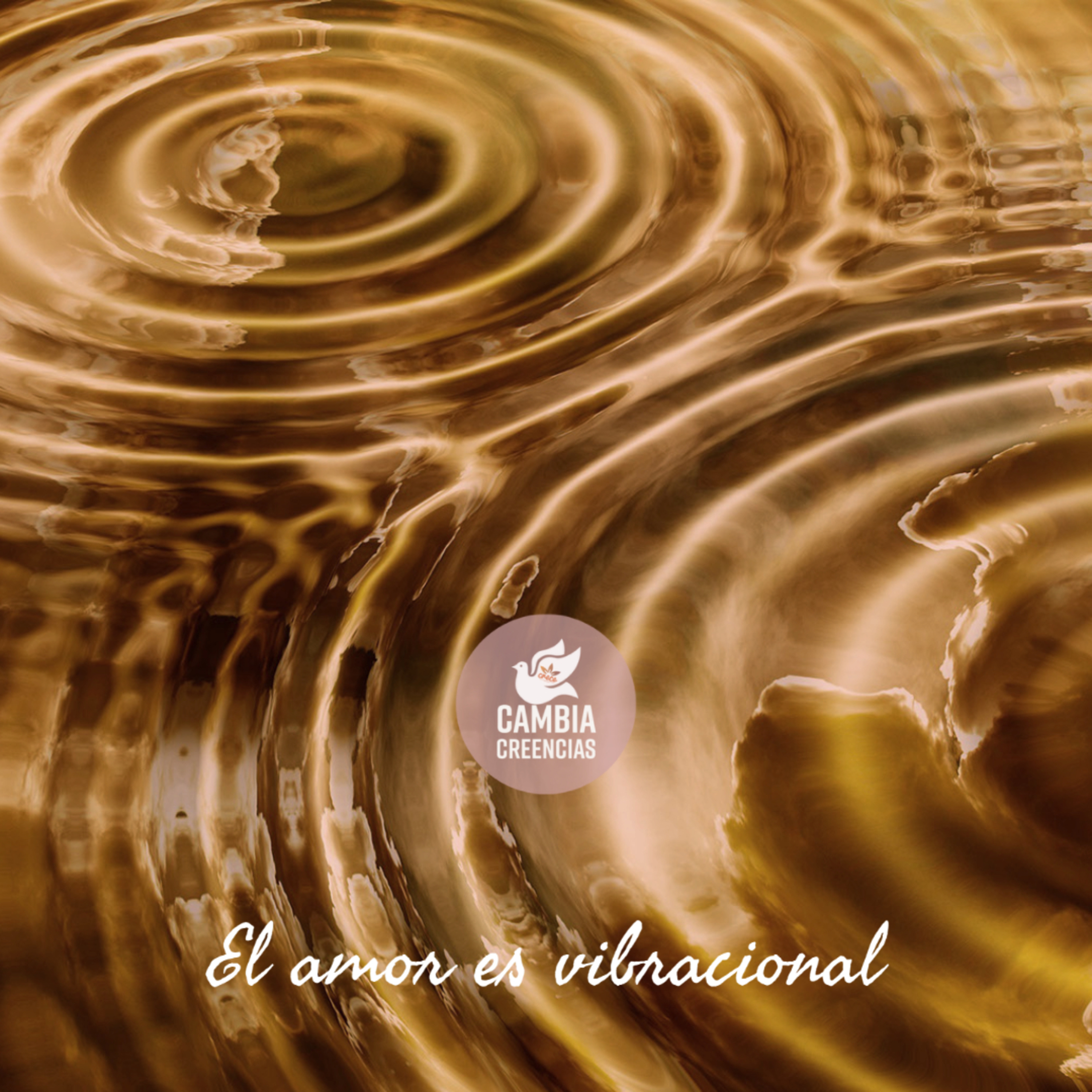 El amor es vibracional