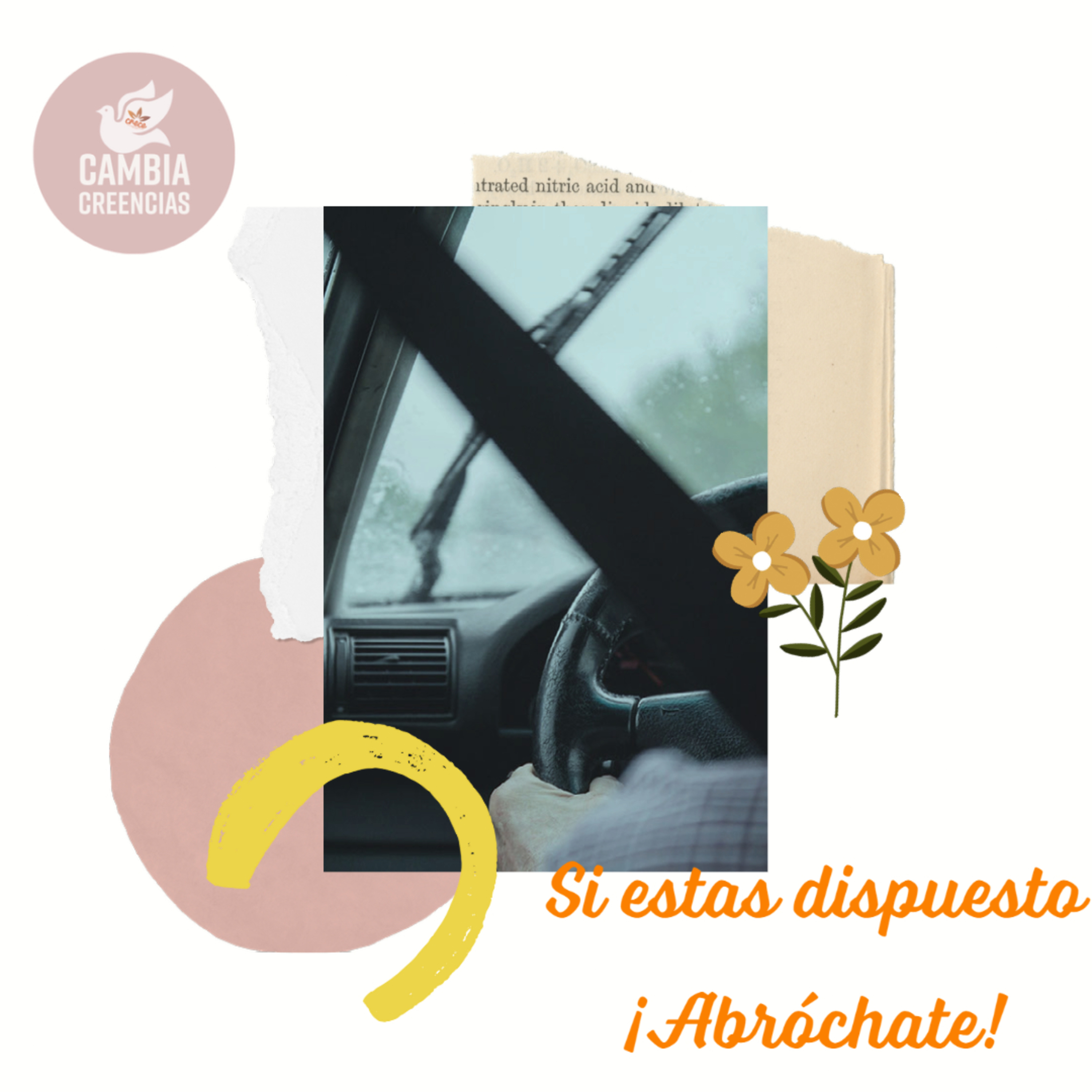 Si estas dispuesto ¡Abróchate! 💥