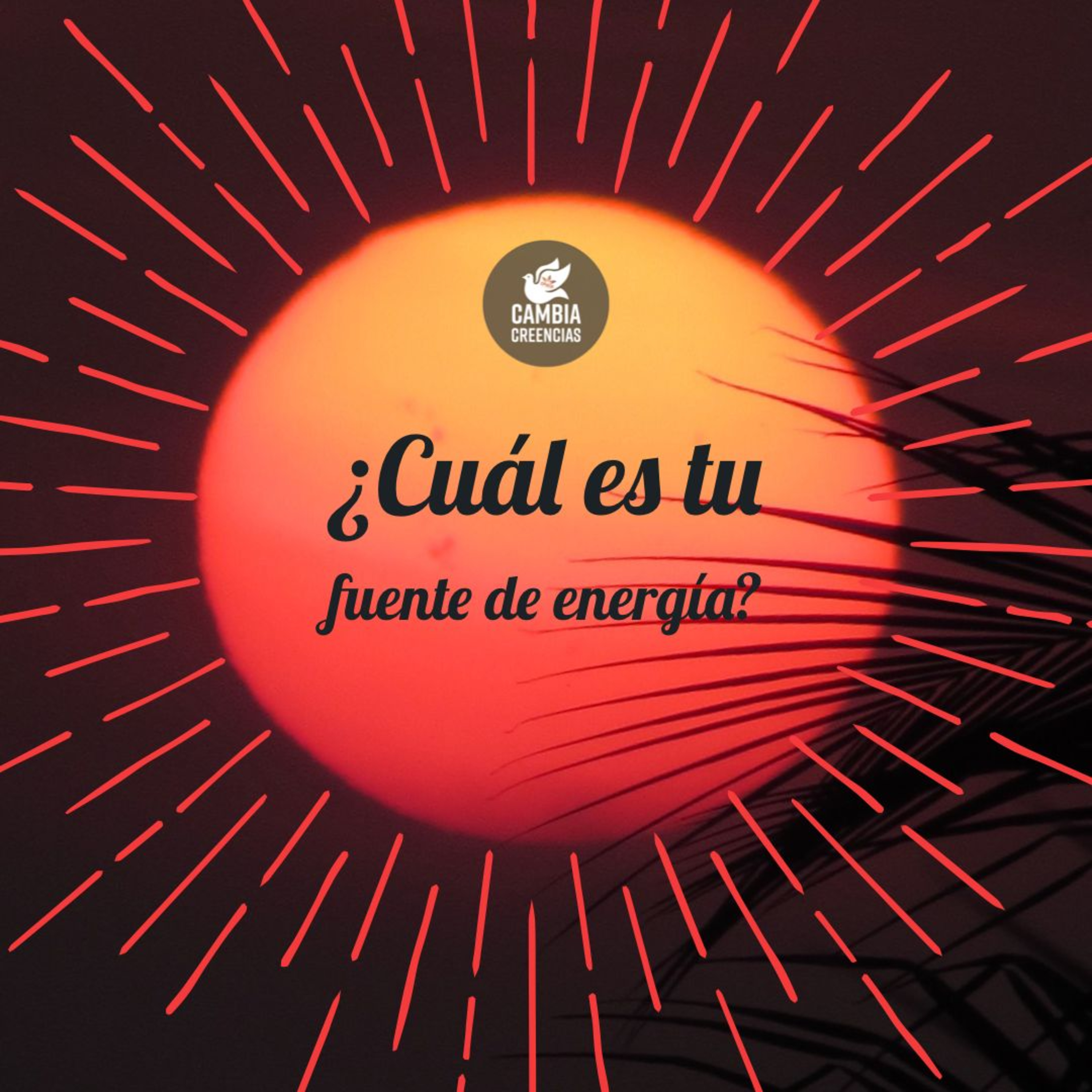 ¿Cuál es tu fuente de energía?🔦💡🕯️🪔