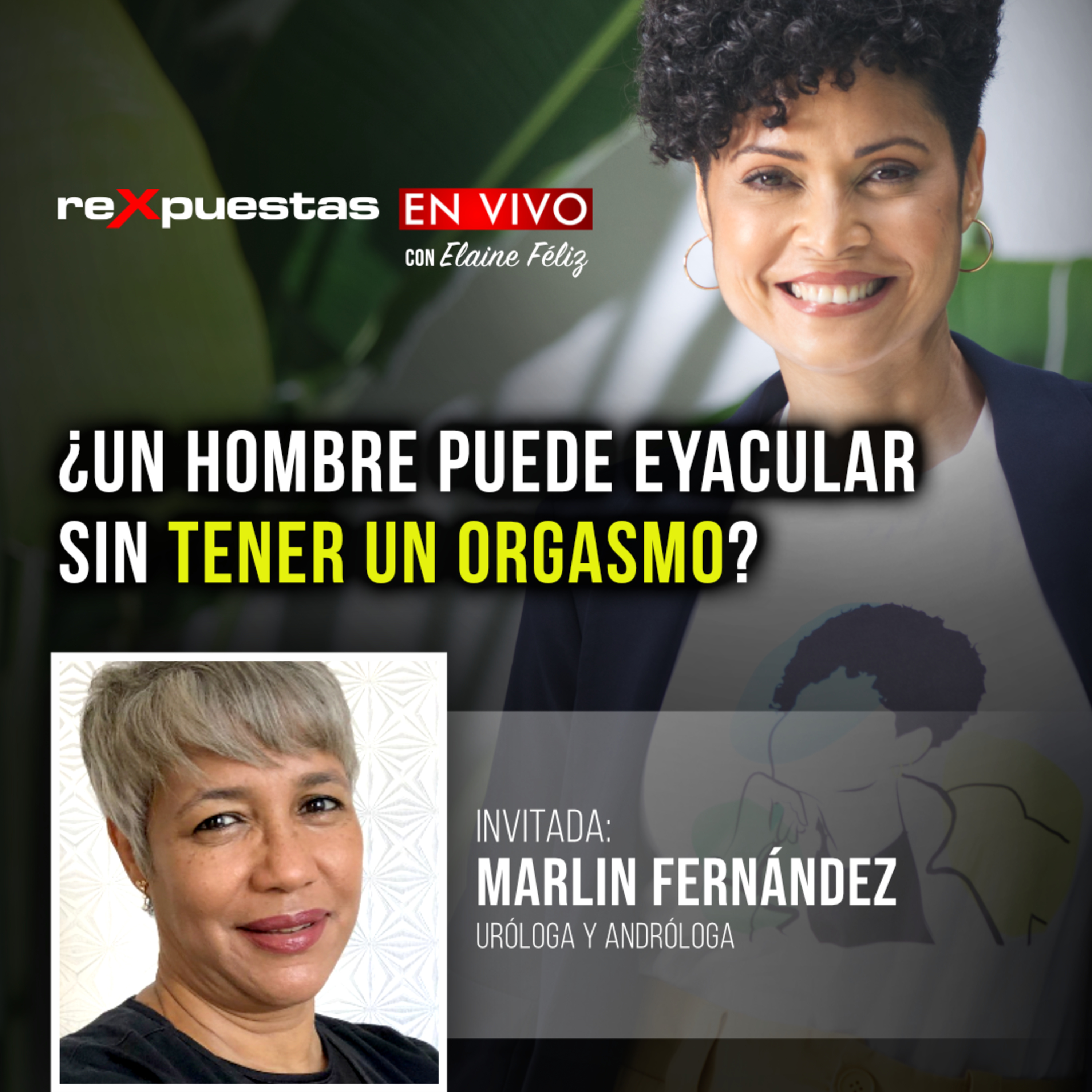 Rexpuestas