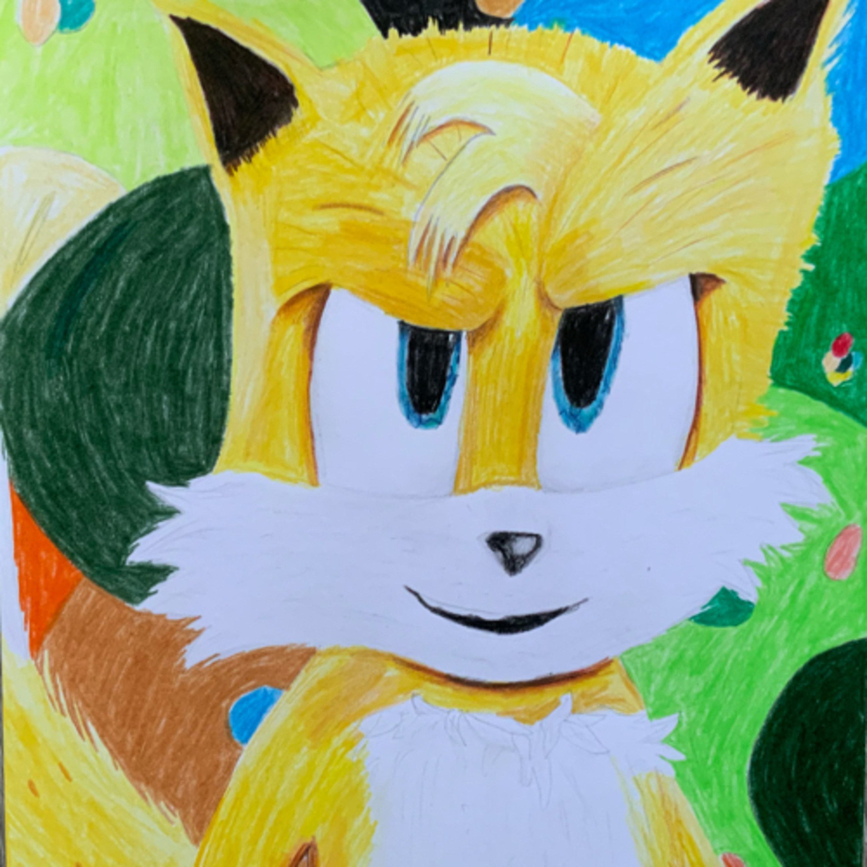 #26 Steckbrief: Tails 🦊📋 episode artwork