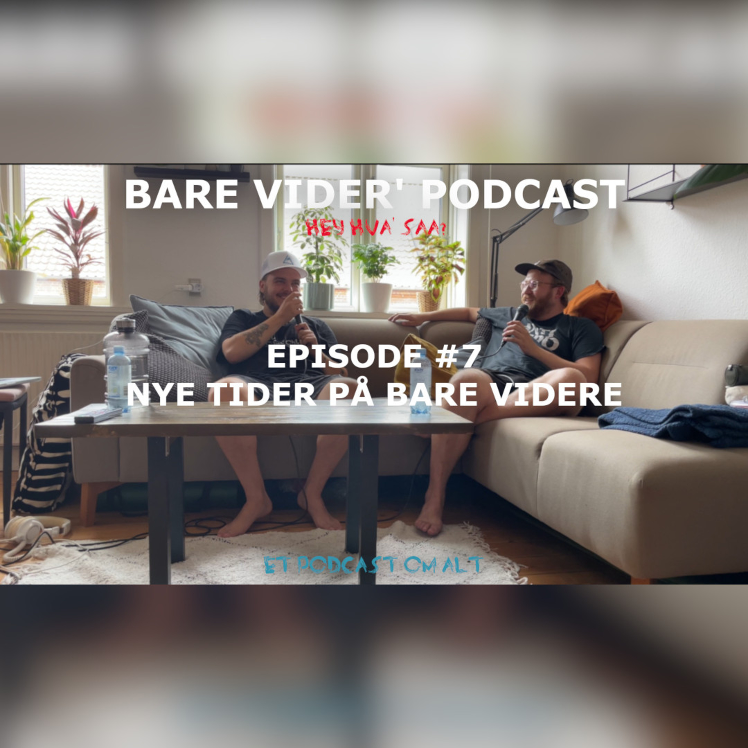 Bare Vider\'