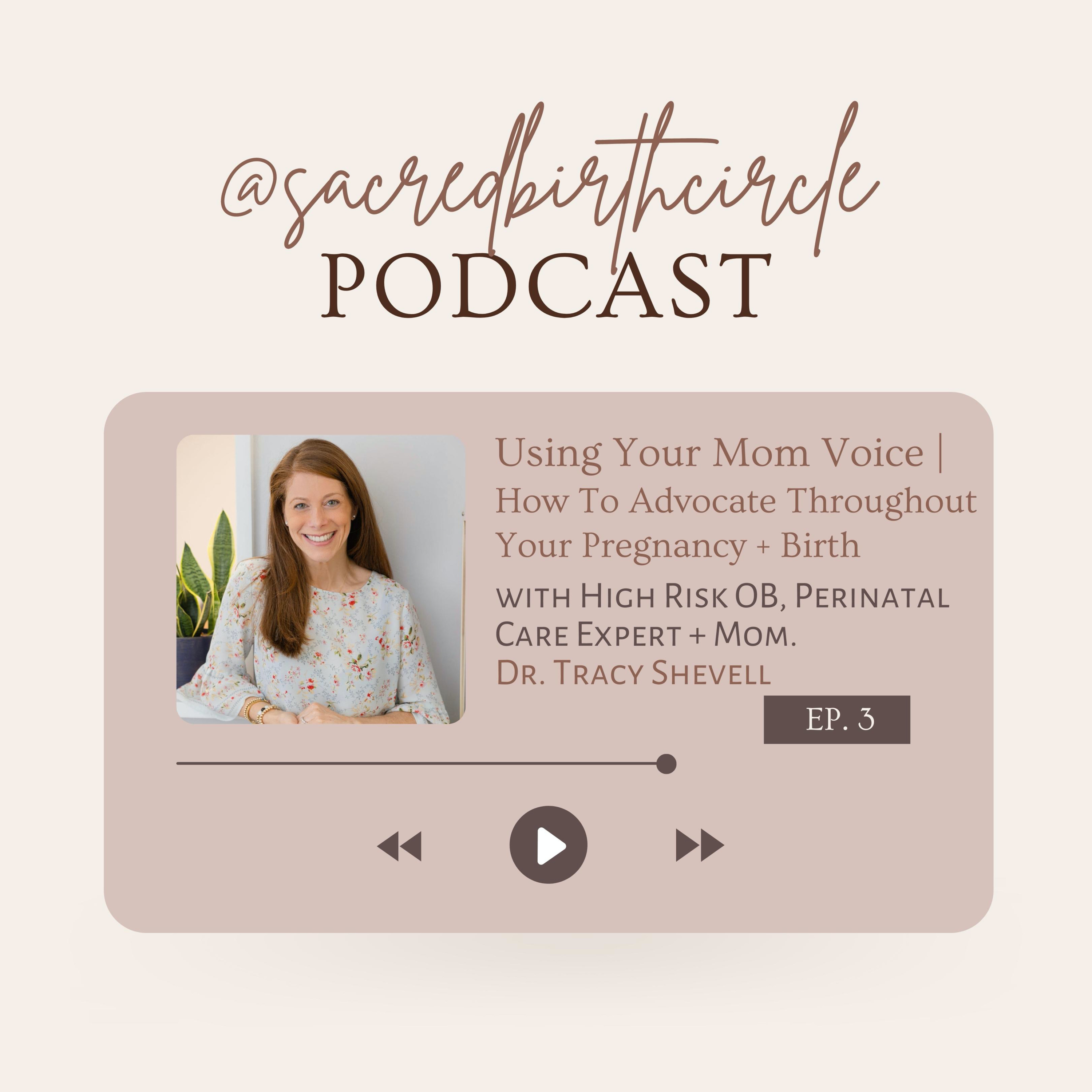 Sacred Birth Circle | Beyond the Pregnancy Guide