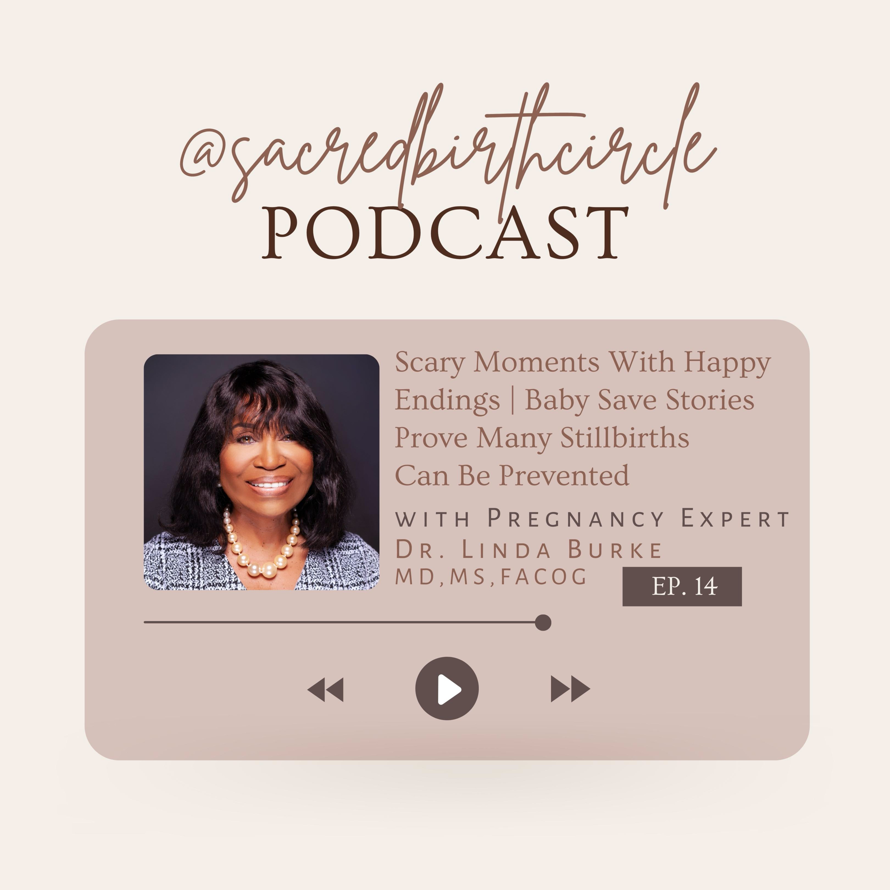 Sacred Birth Circle | Beyond the Pregnancy Guide