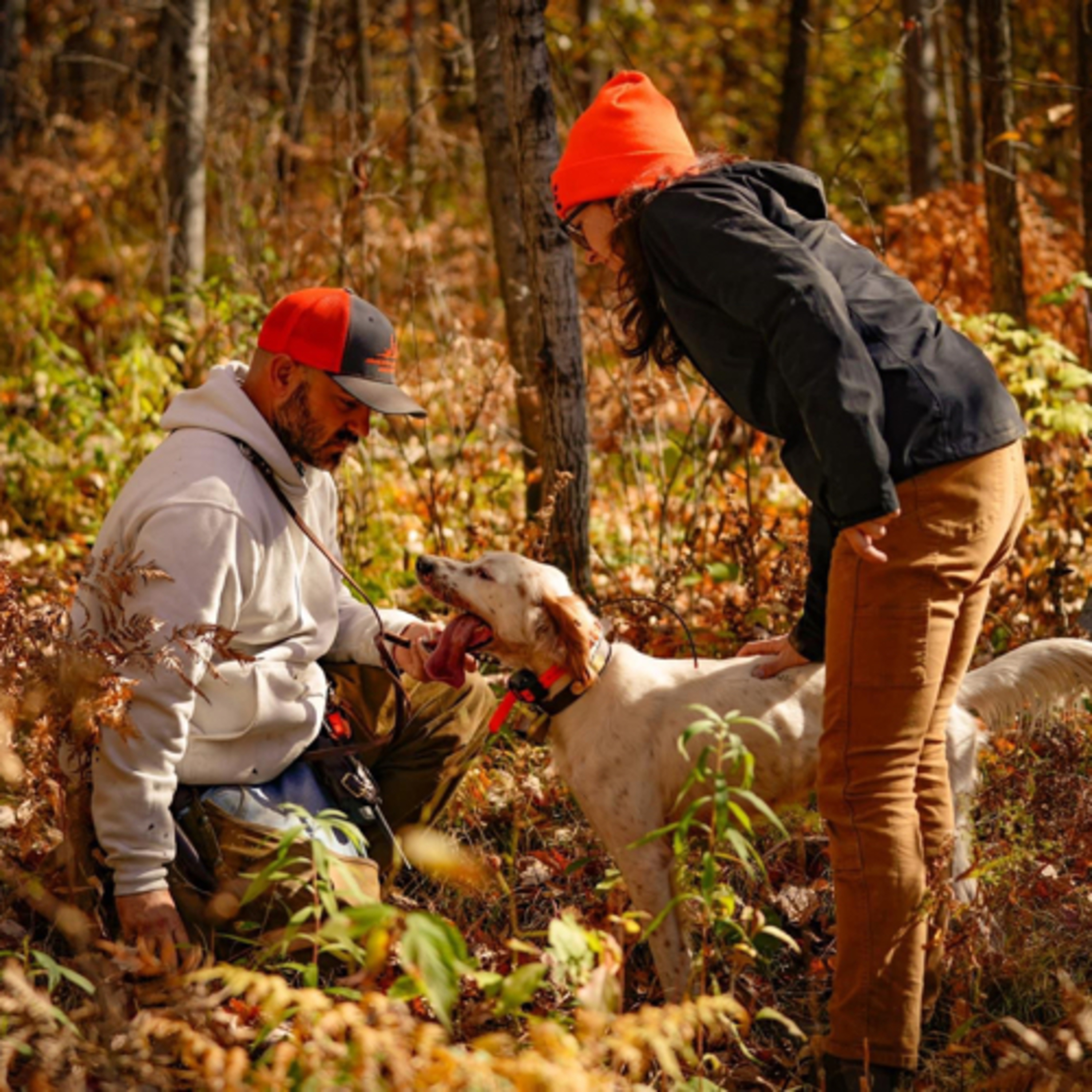 In The Woods With Dogs Podcast