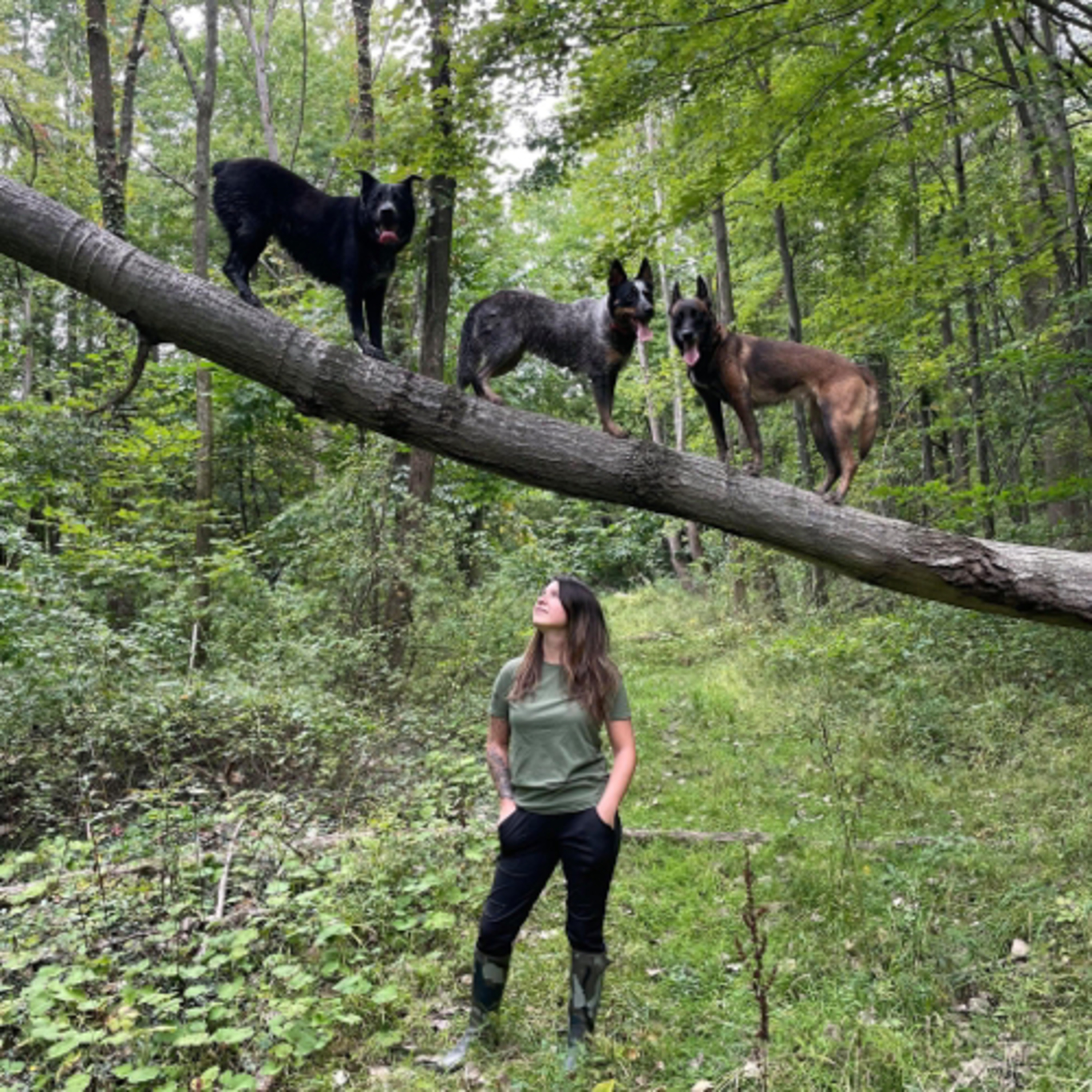 In The Woods With Dogs Podcast
