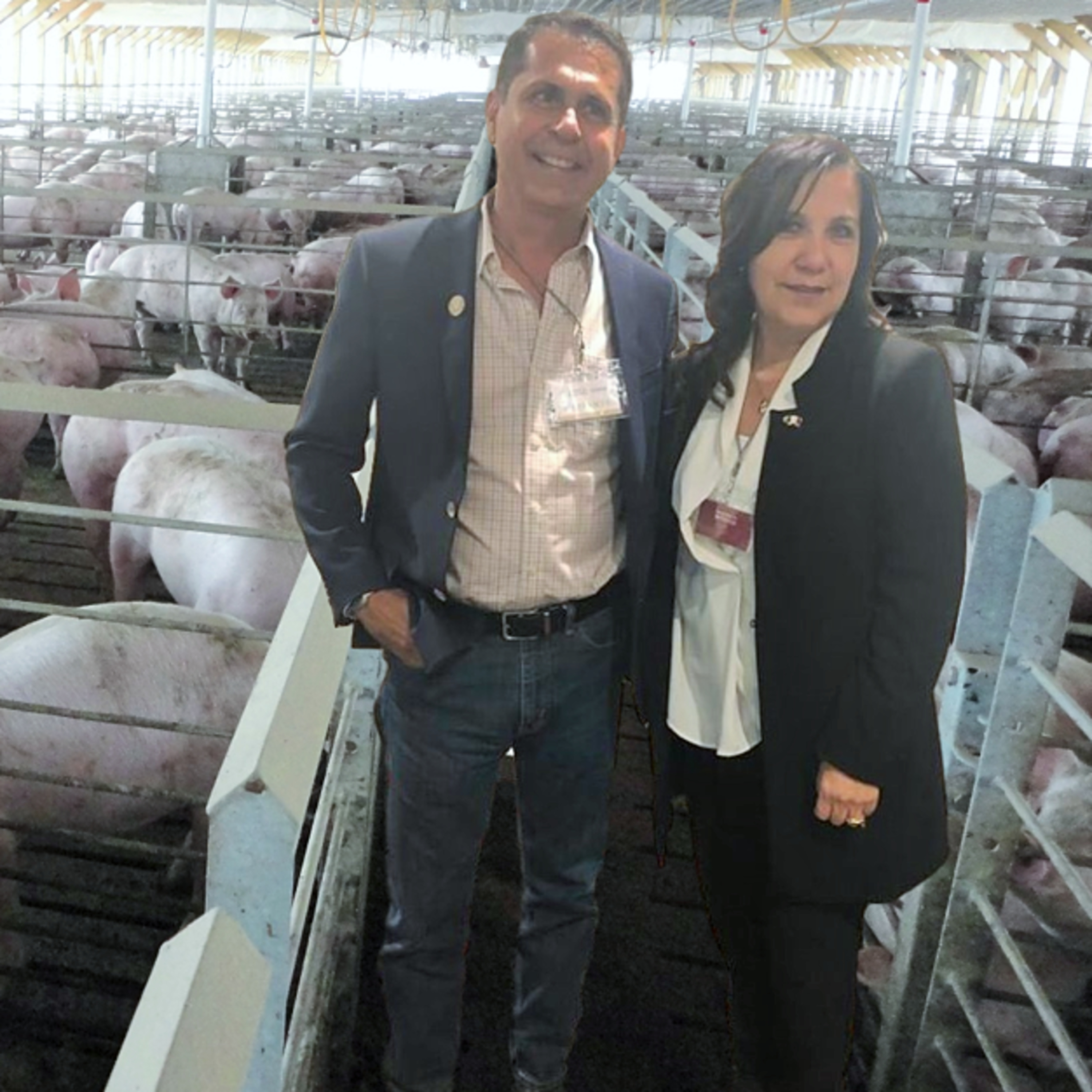 Acontecer Agropecuario