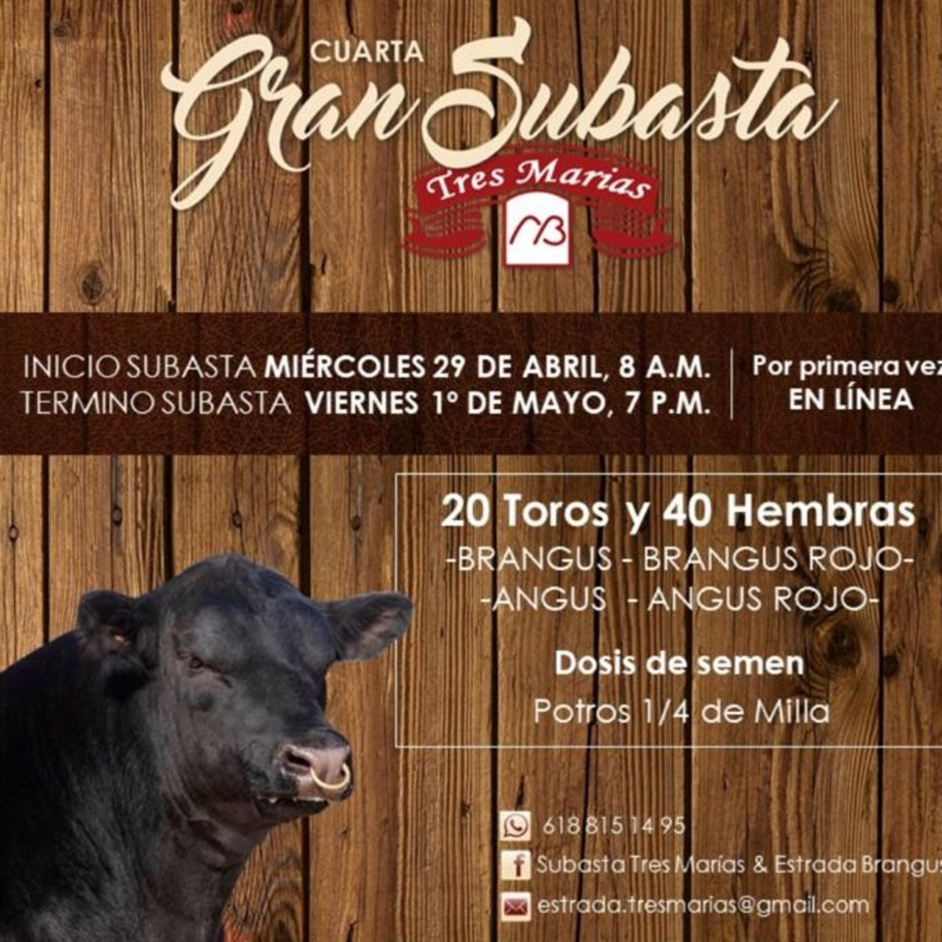 Acontecer Agropecuario