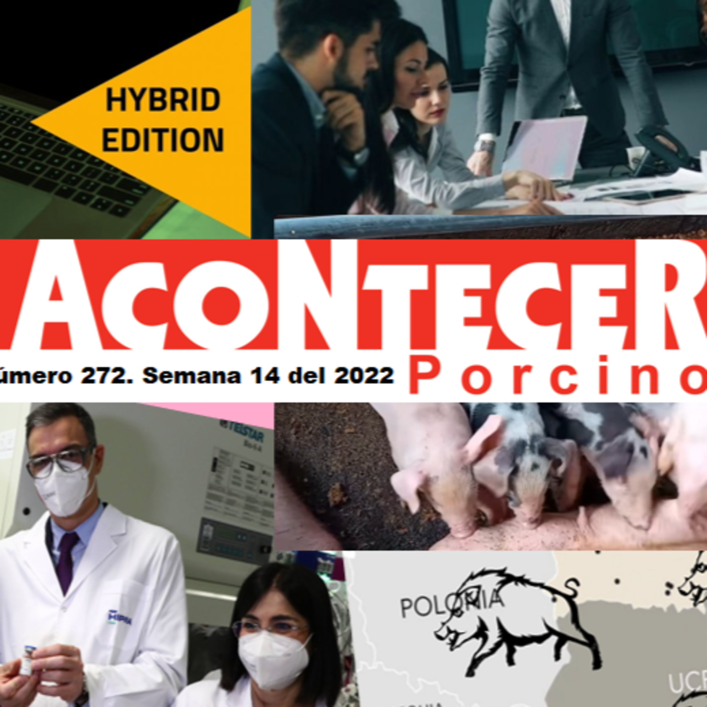 Acontecer Agropecuario