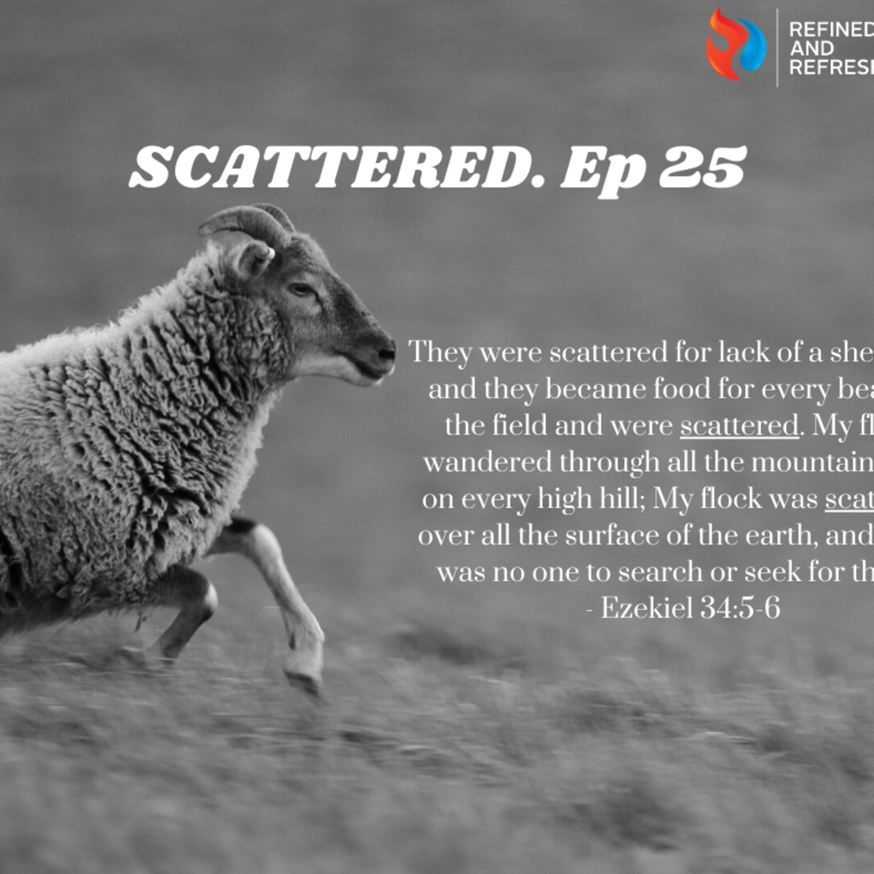 Refined and Refreshed Podcast