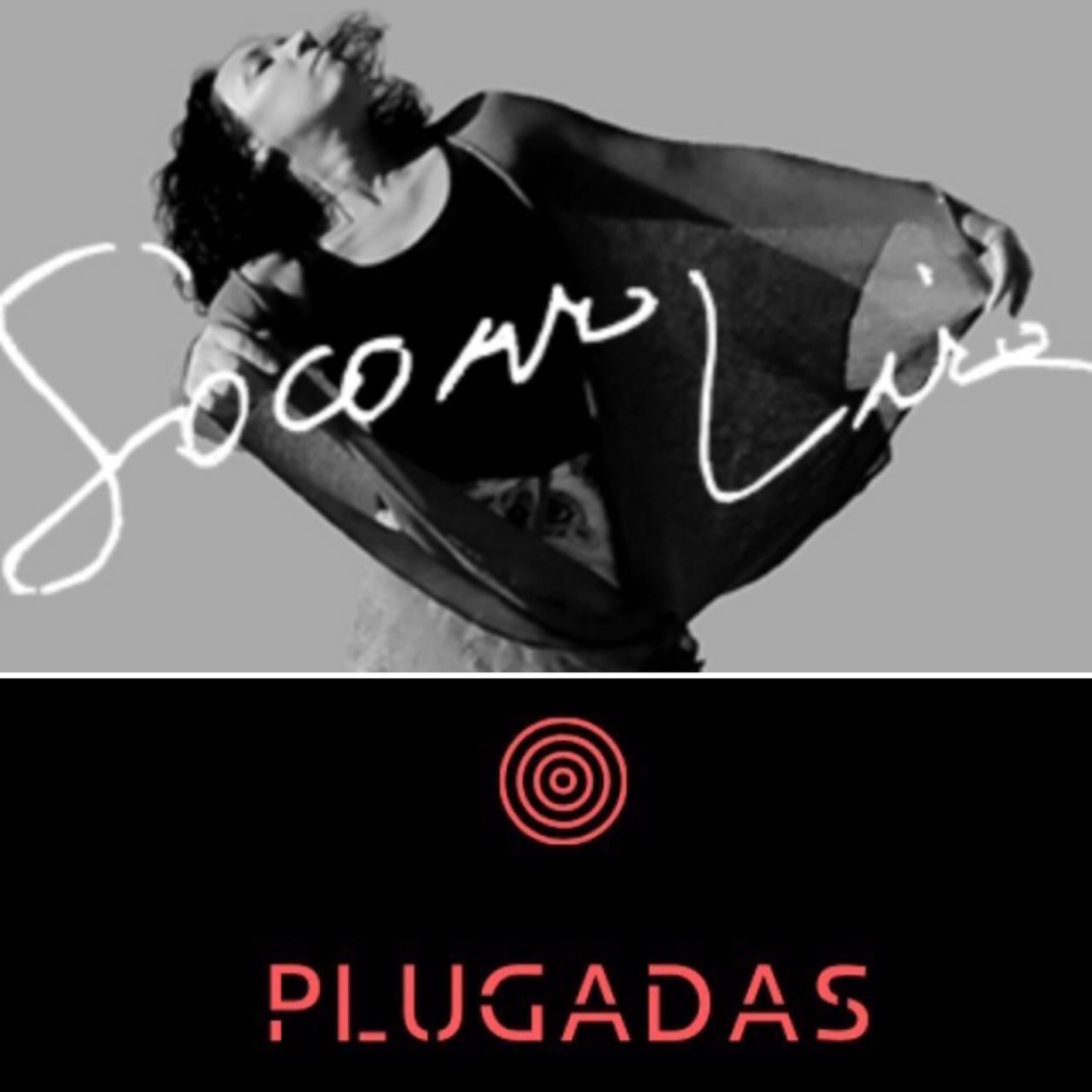 Plugadas