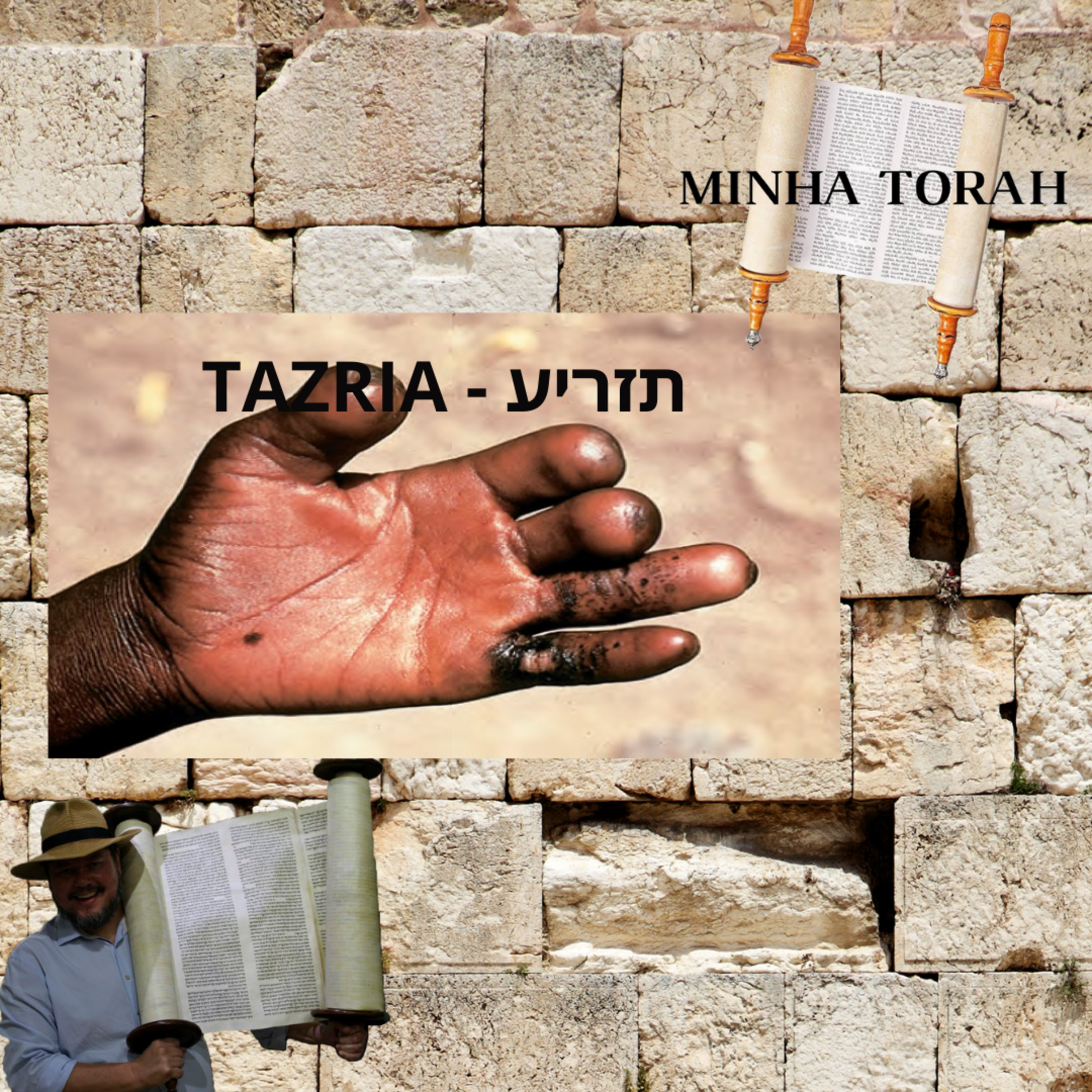 TAZRIA - CONCEBER episode artwork