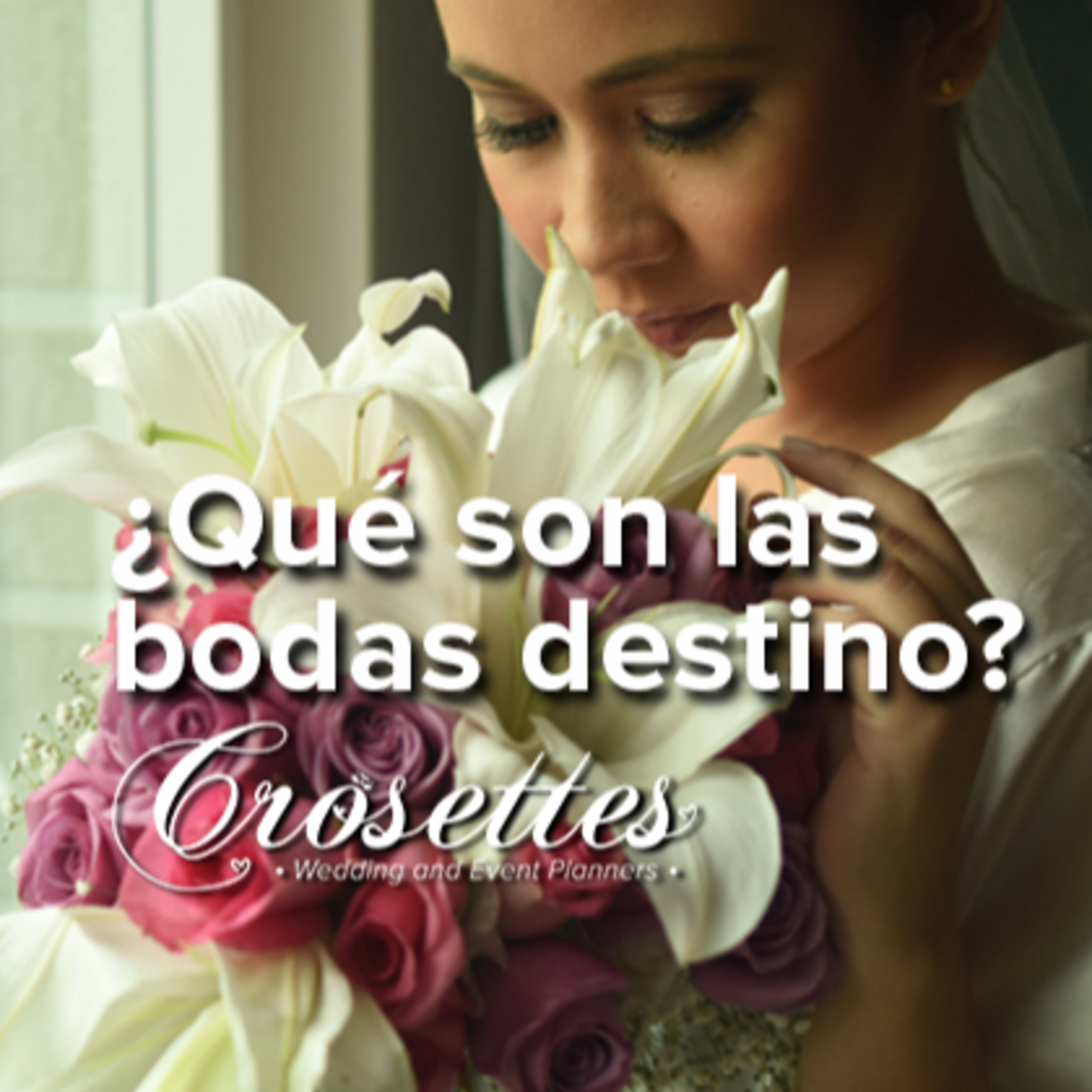 Todo acerca de Bodas y Eventos
