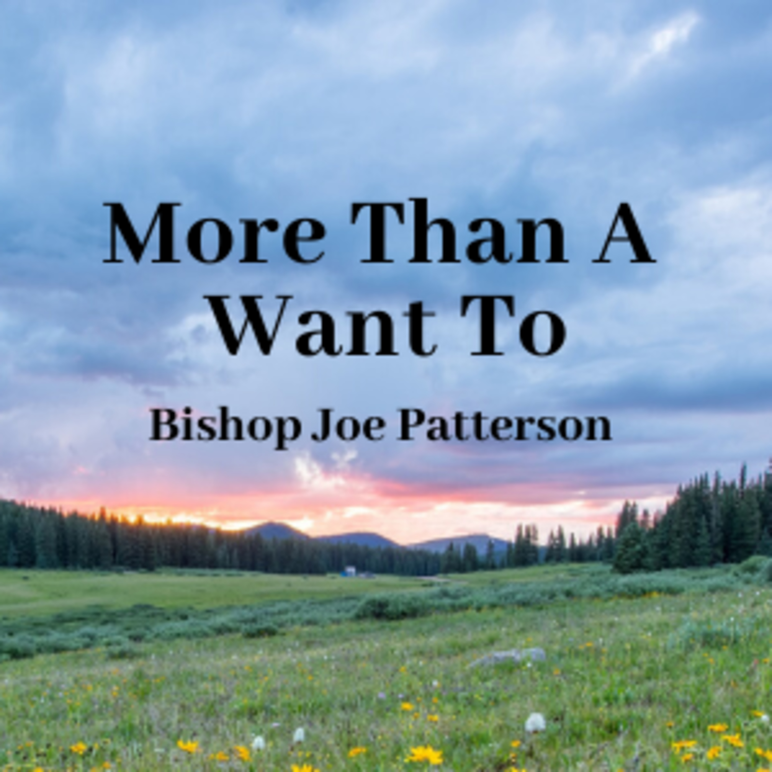 Bro. Joe Patterson - More Than a Want To - 4/5/20