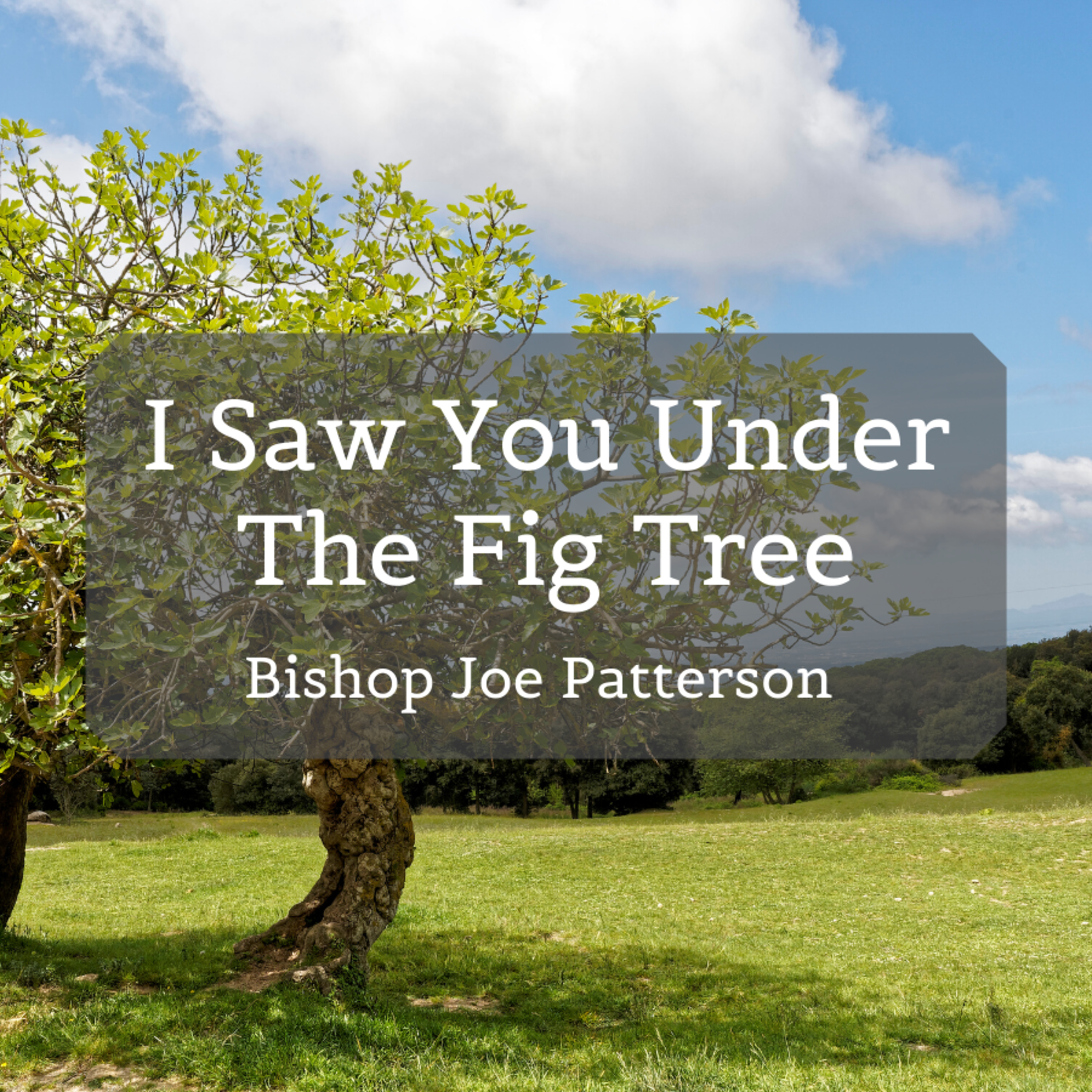 Bro. Joe Patterson - I Saw You Under The Fig Tree - 6/14/20