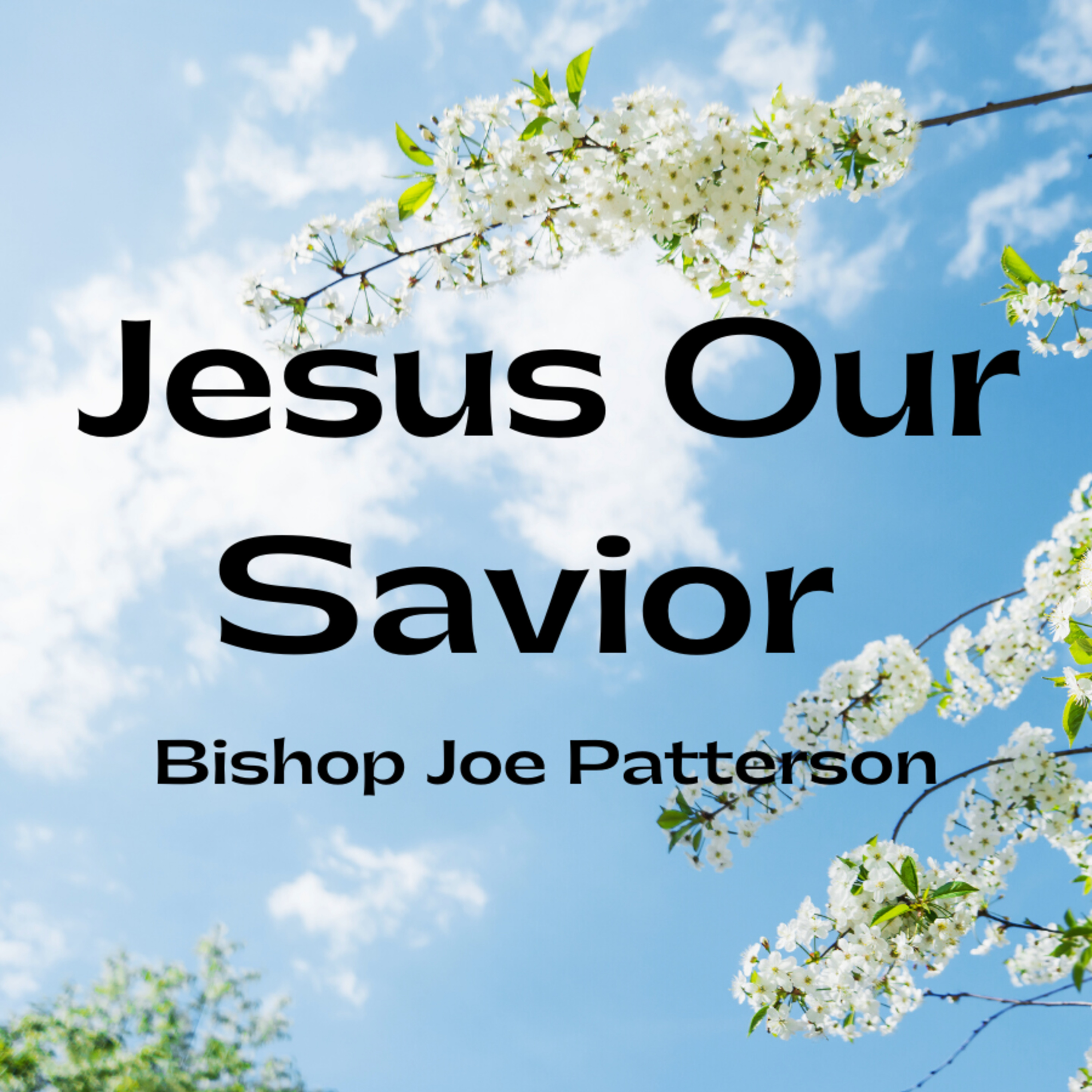 Bro. Joe Patterson - Jesus Our Savior - 11/8/20