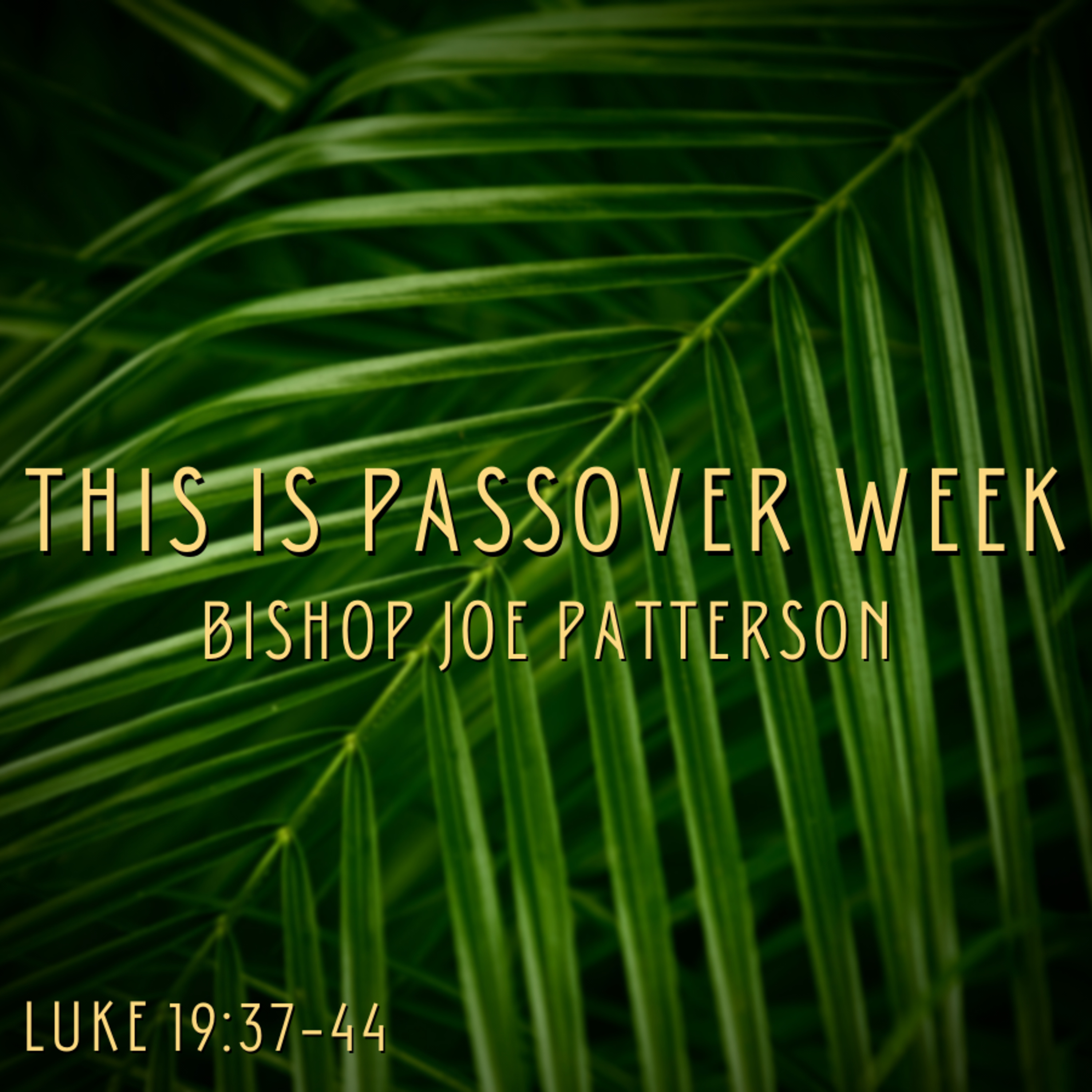 Bro. Joe Patterson - This Is Passover Week - 3/28/21