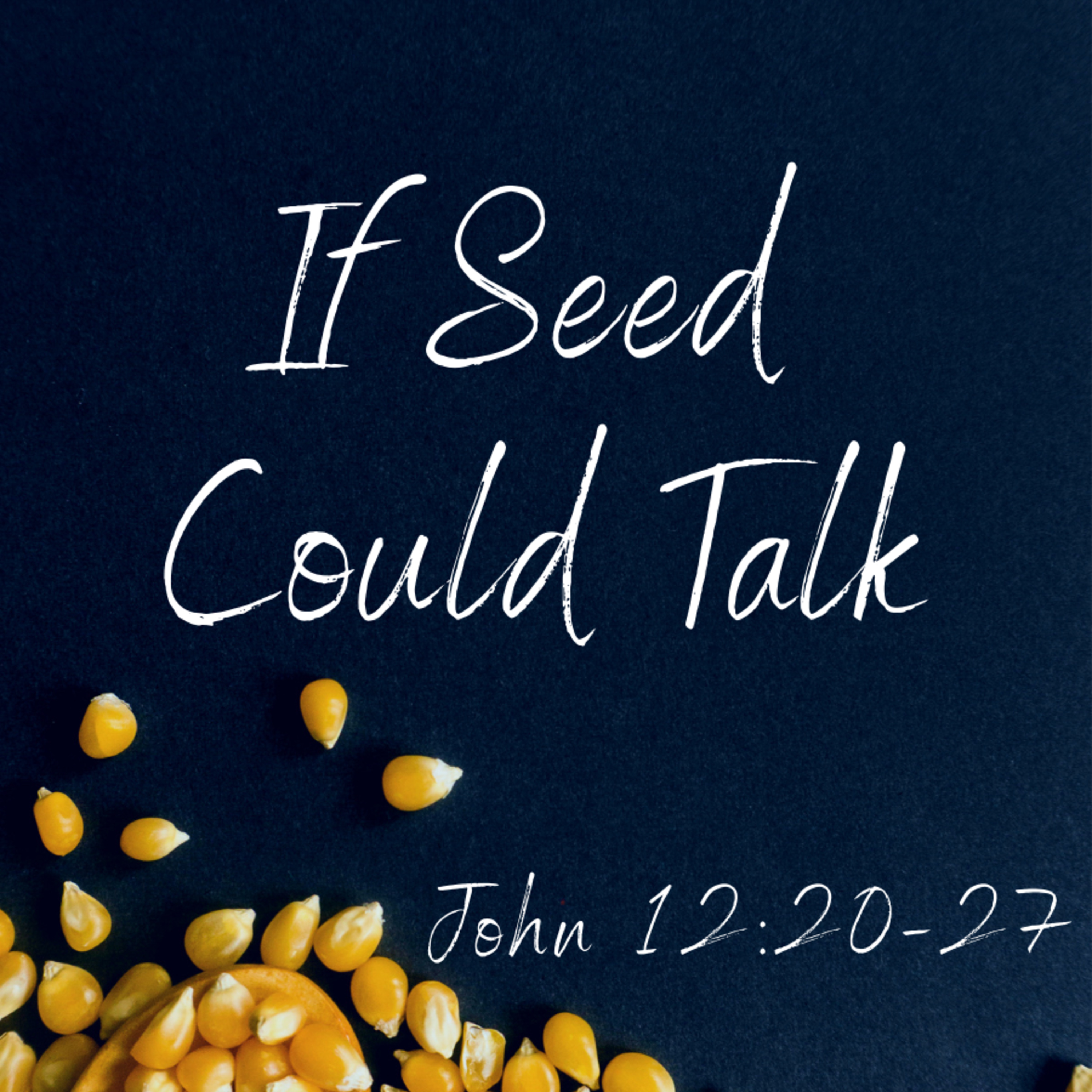 Bro. Joe Patterson - If Seed Could Talk - 11/14/21