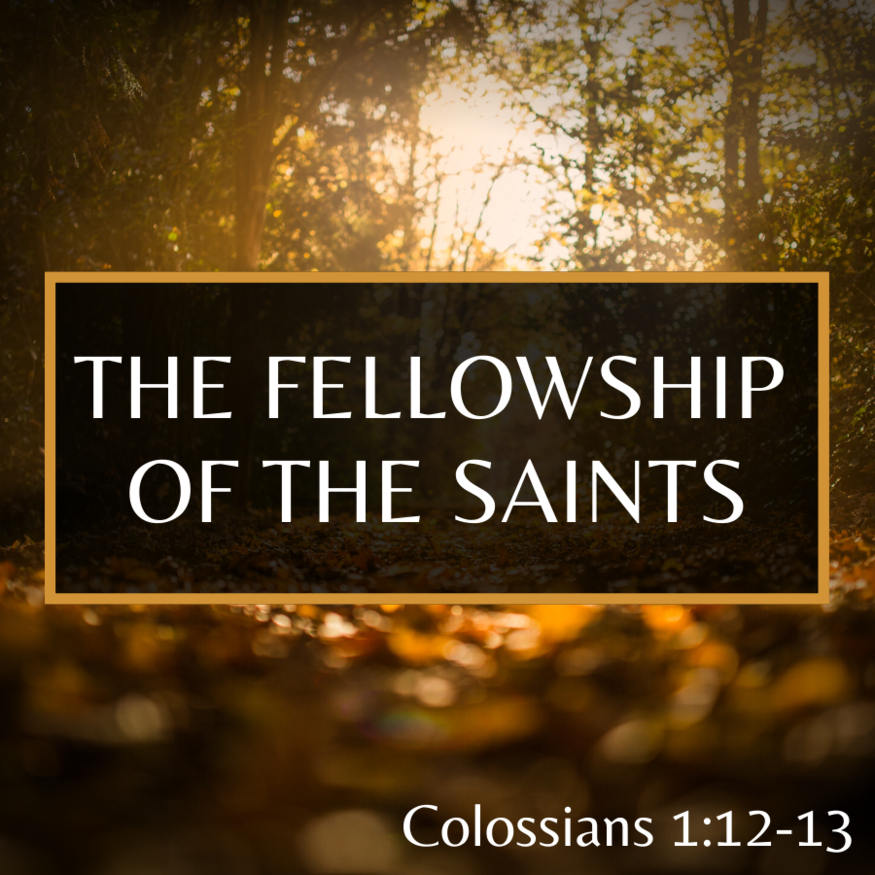 Bro. Philip Harrelson - The Fellowship Of The Saints - 11/28/21