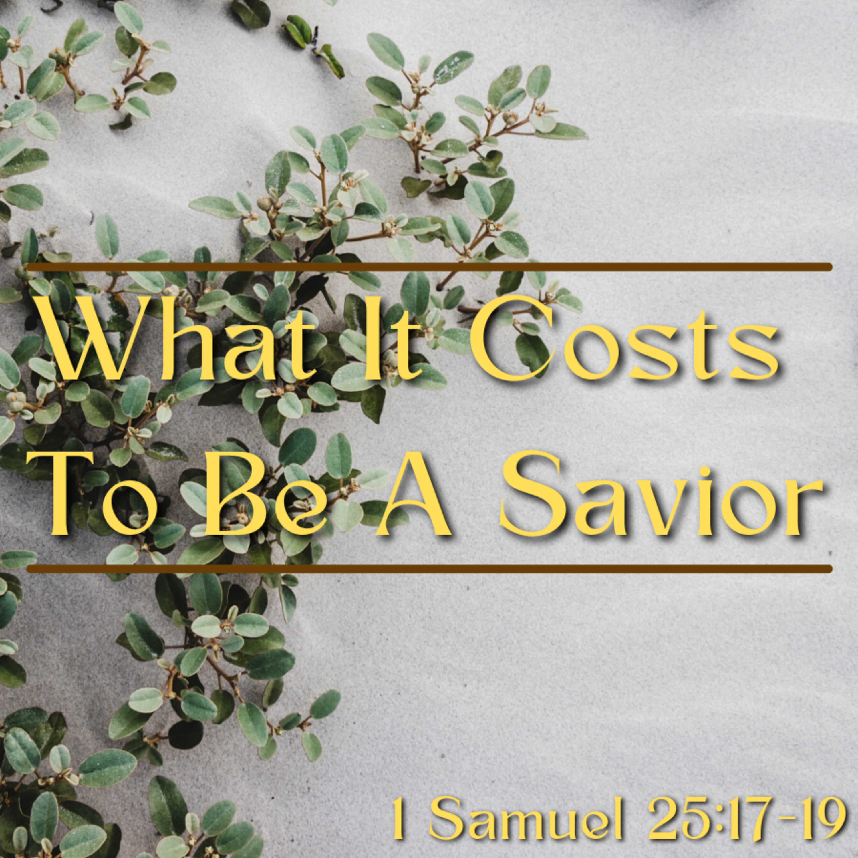 Bro. Doug White - What It Costs To Be A Savior - 1/9/22