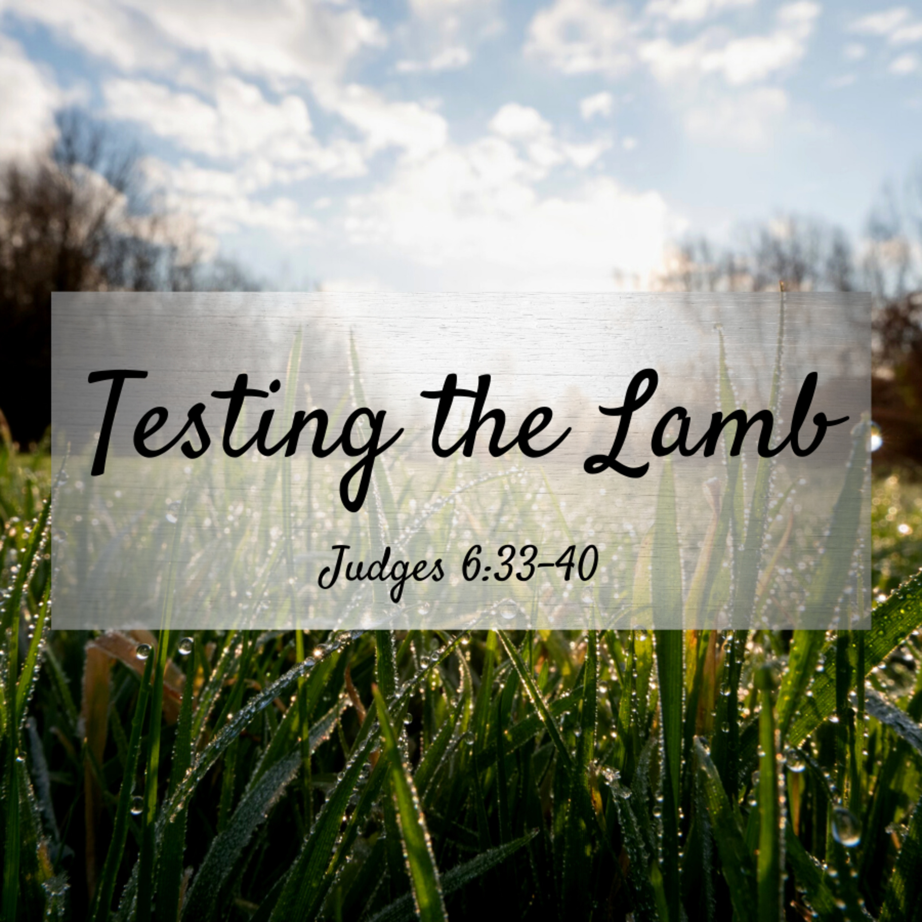 Bro. Justin Harrelson - Testing The Lamb - 9/25/22
