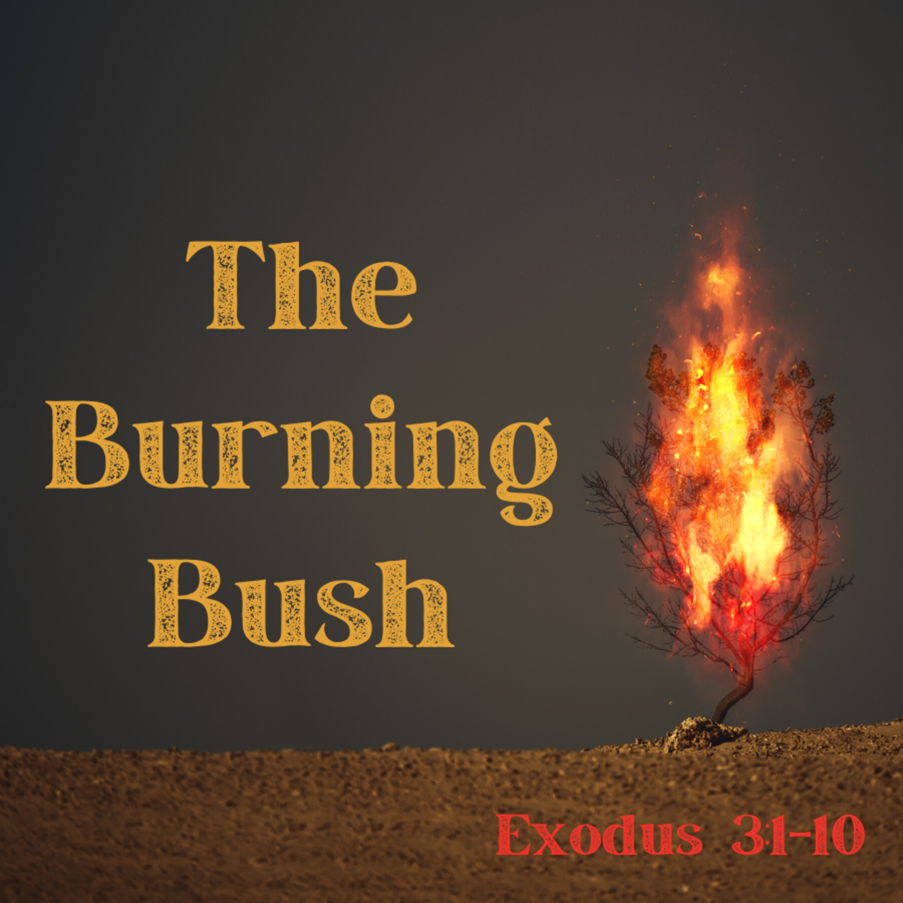 Bro. Philip Harrelson - The Burning Bush - 2/26/23