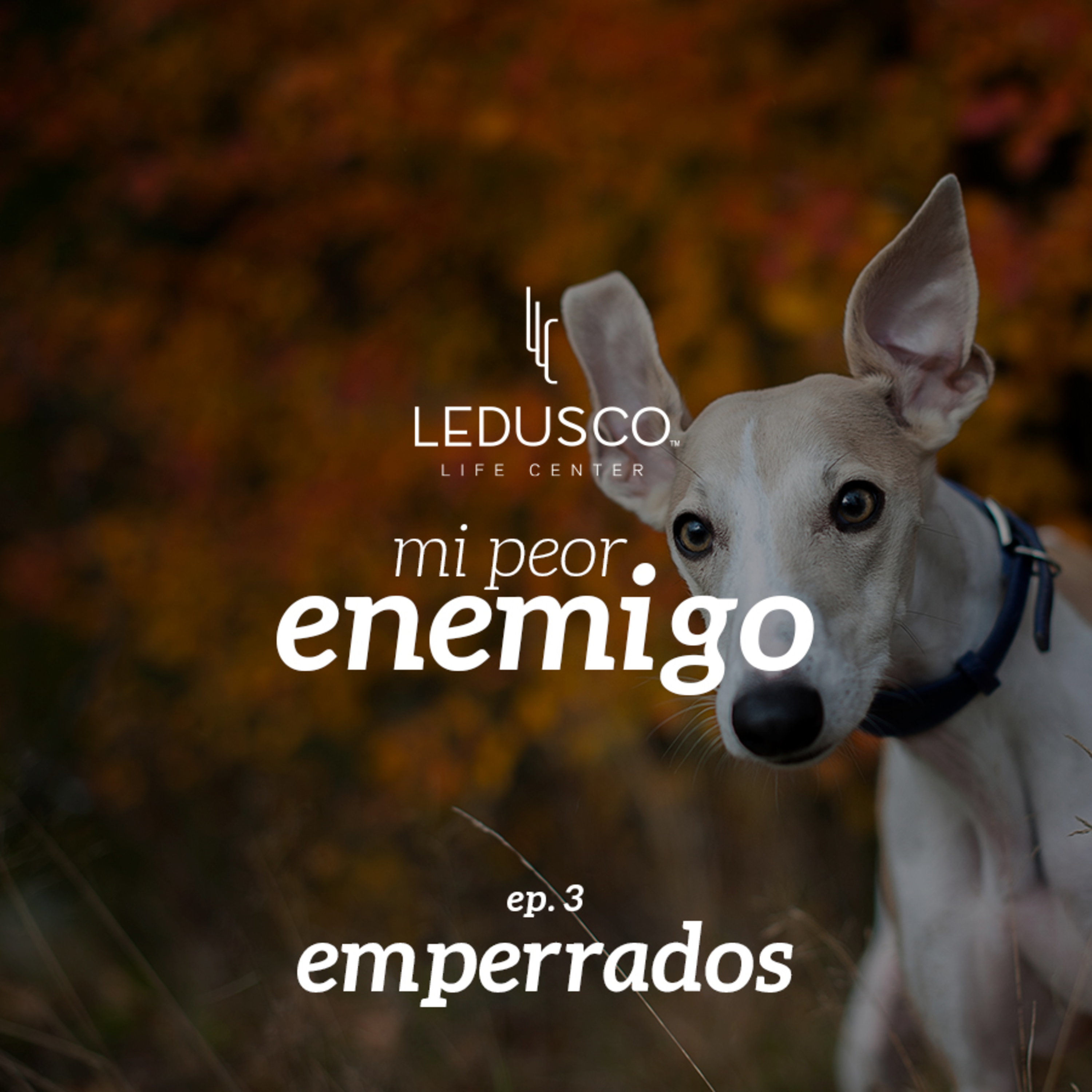 ¿Por qué a mí?