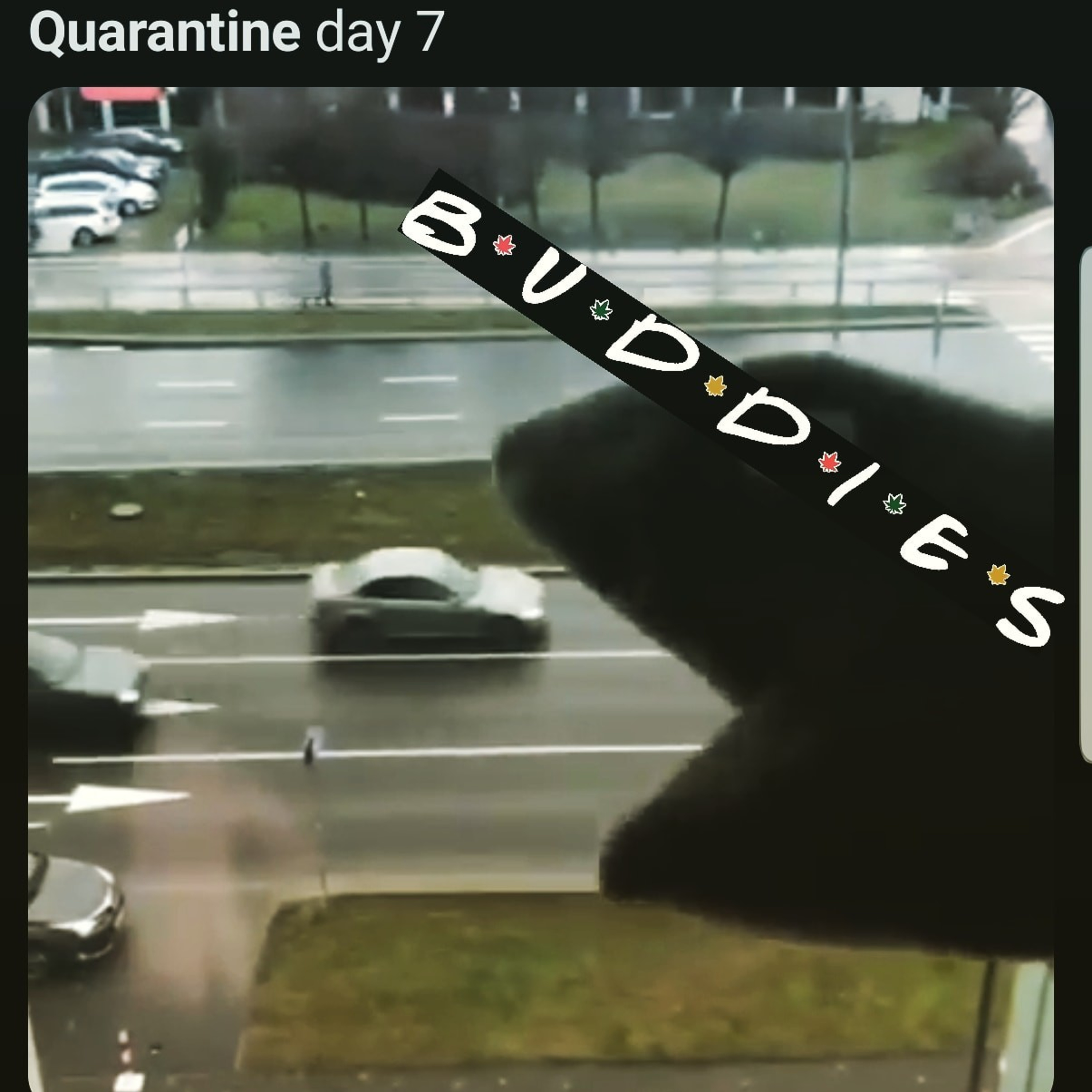 BUDDiES Roll•up Podcast