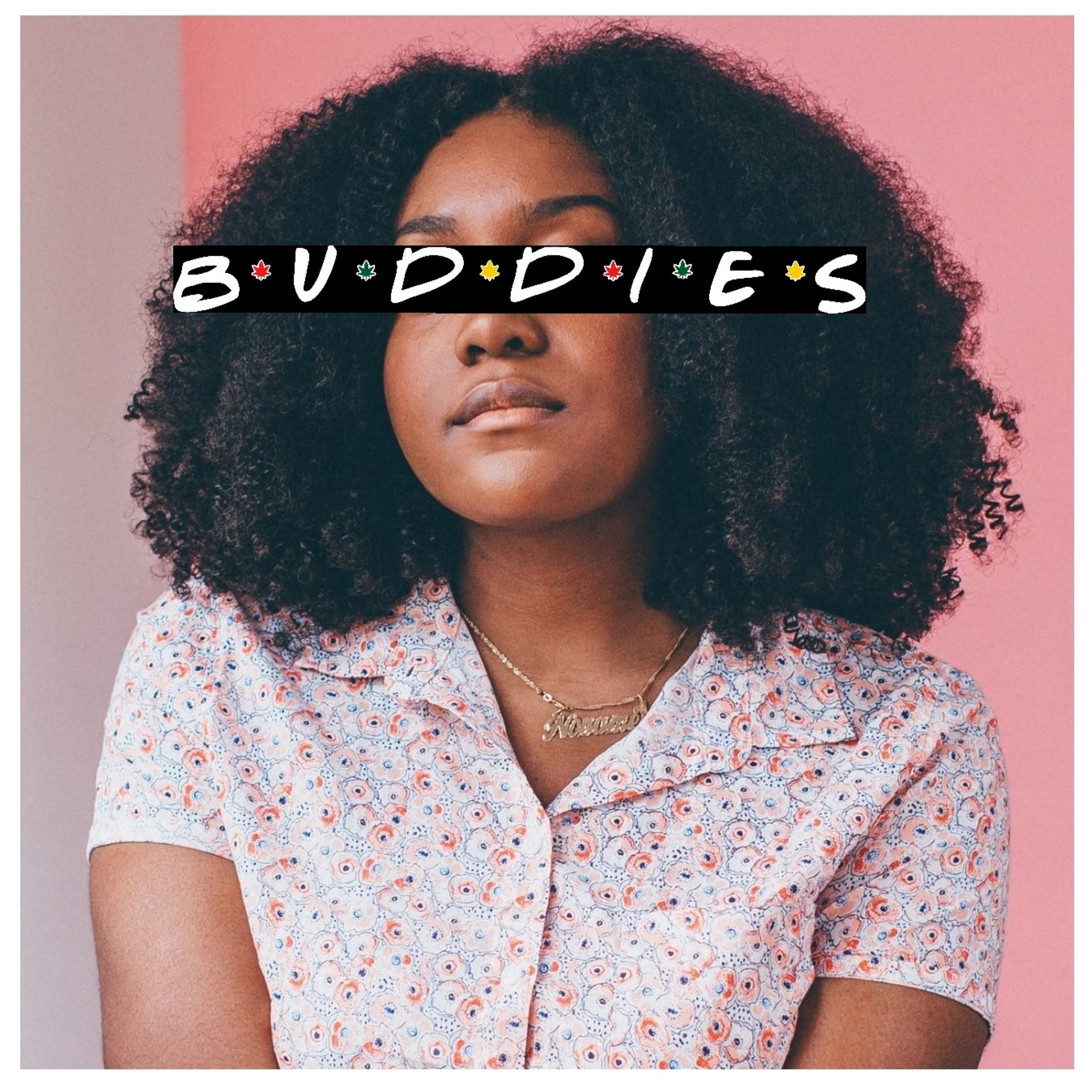 BUDDiES Roll•up Podcast
