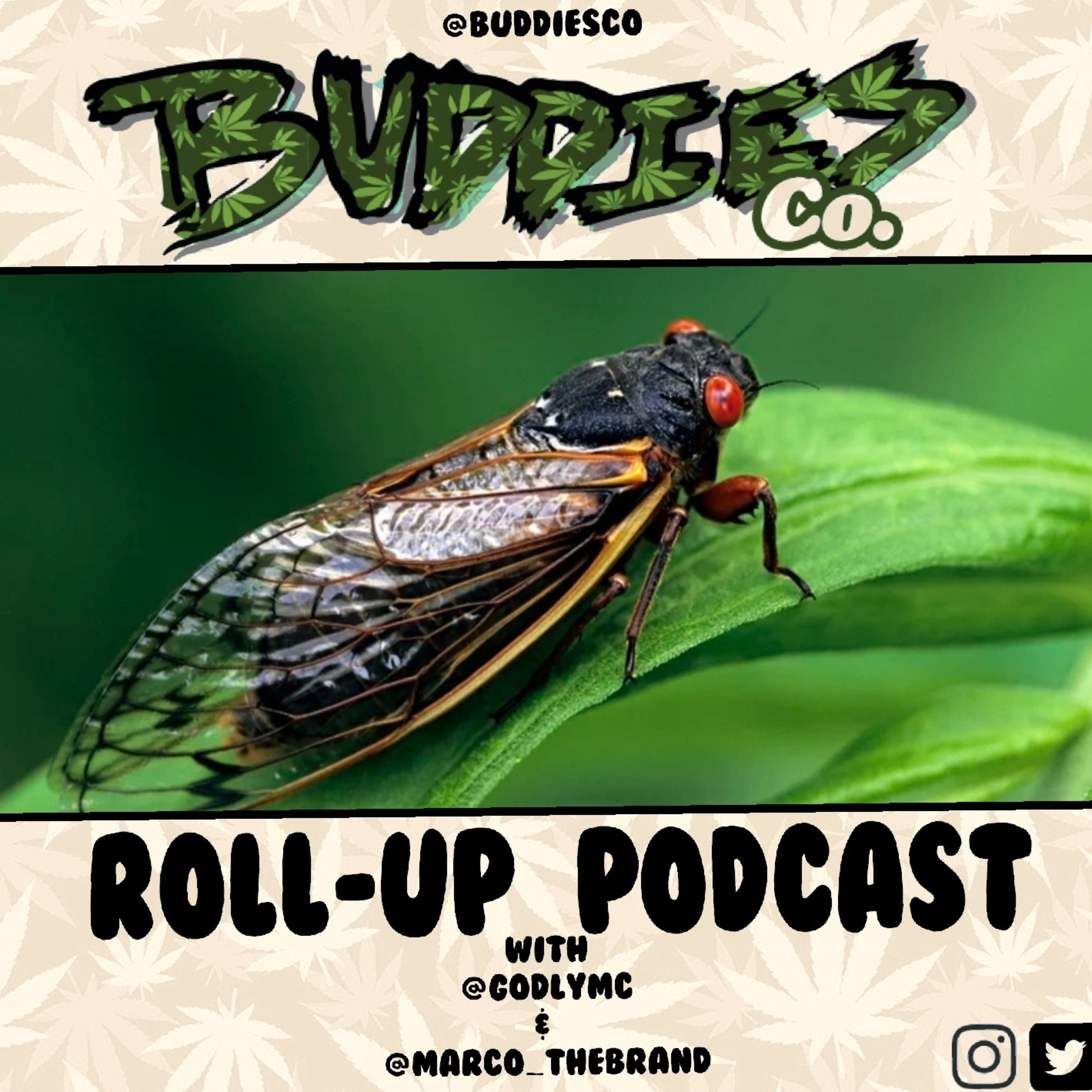 BUDDiES Roll•up Podcast