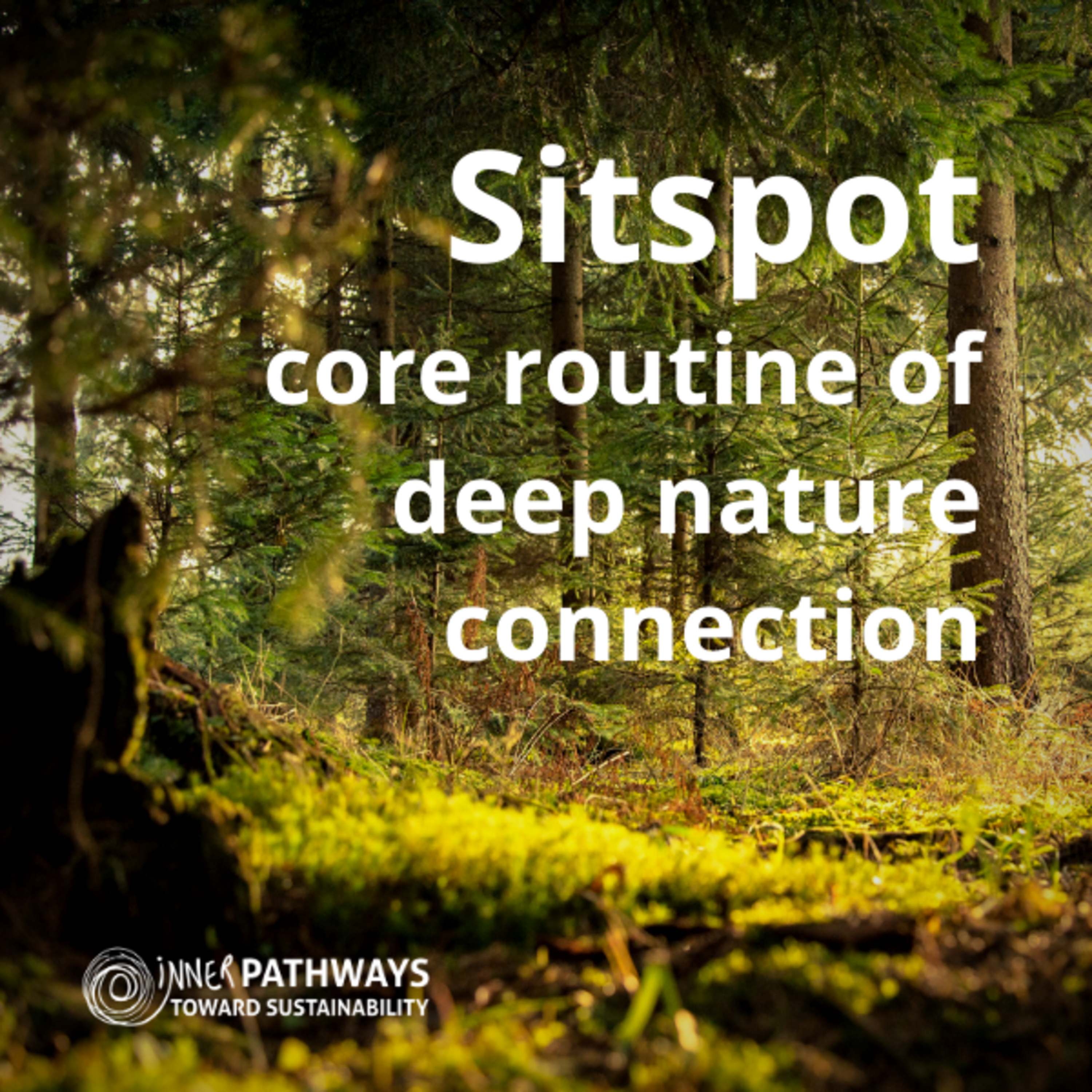 The Sitspot: a core routine of deep nature connection episode artwork