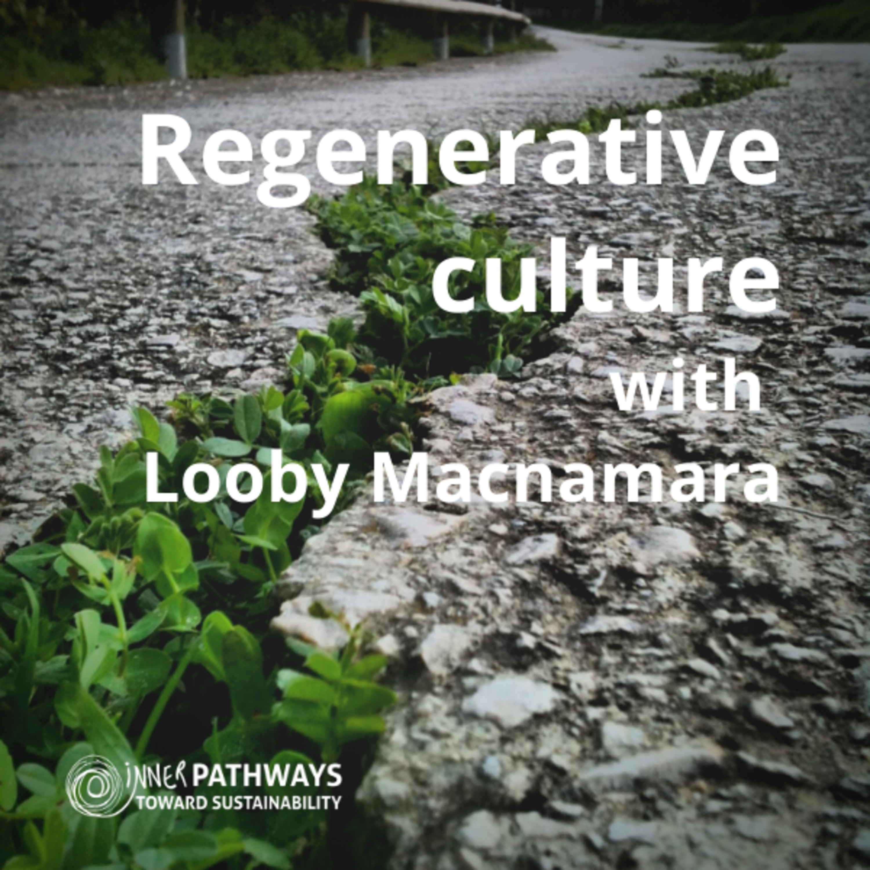 Regenerative culture with Looby Macnamara episode artwork