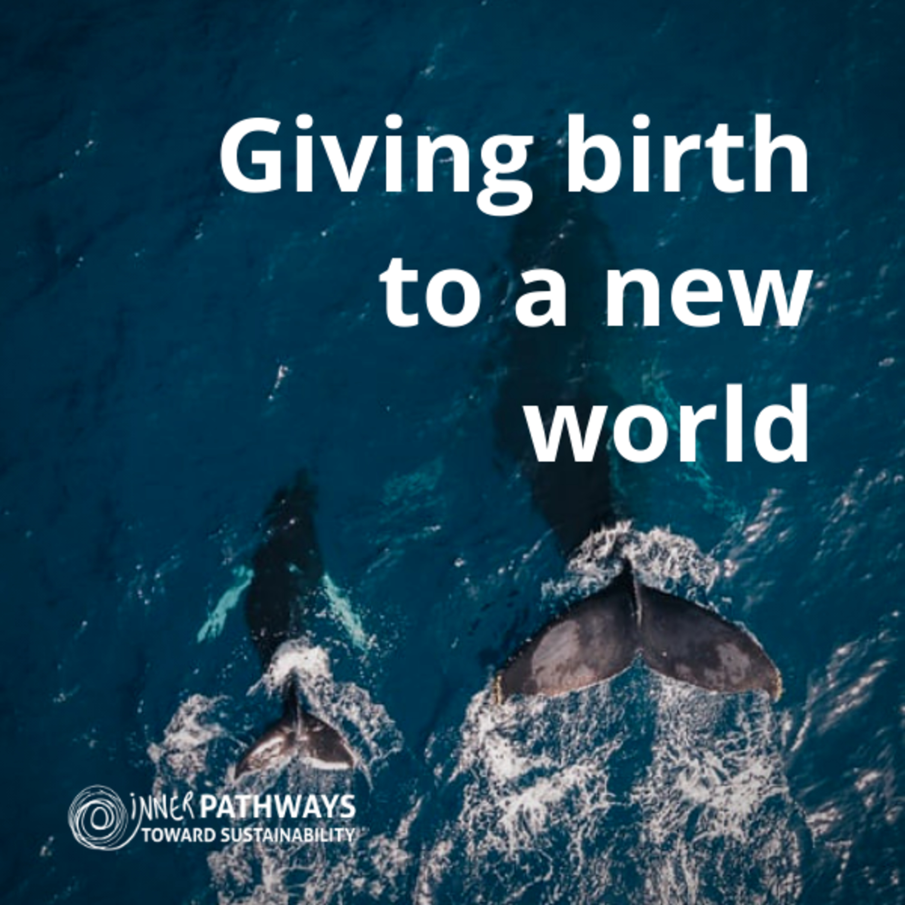 Giving birth to a New World