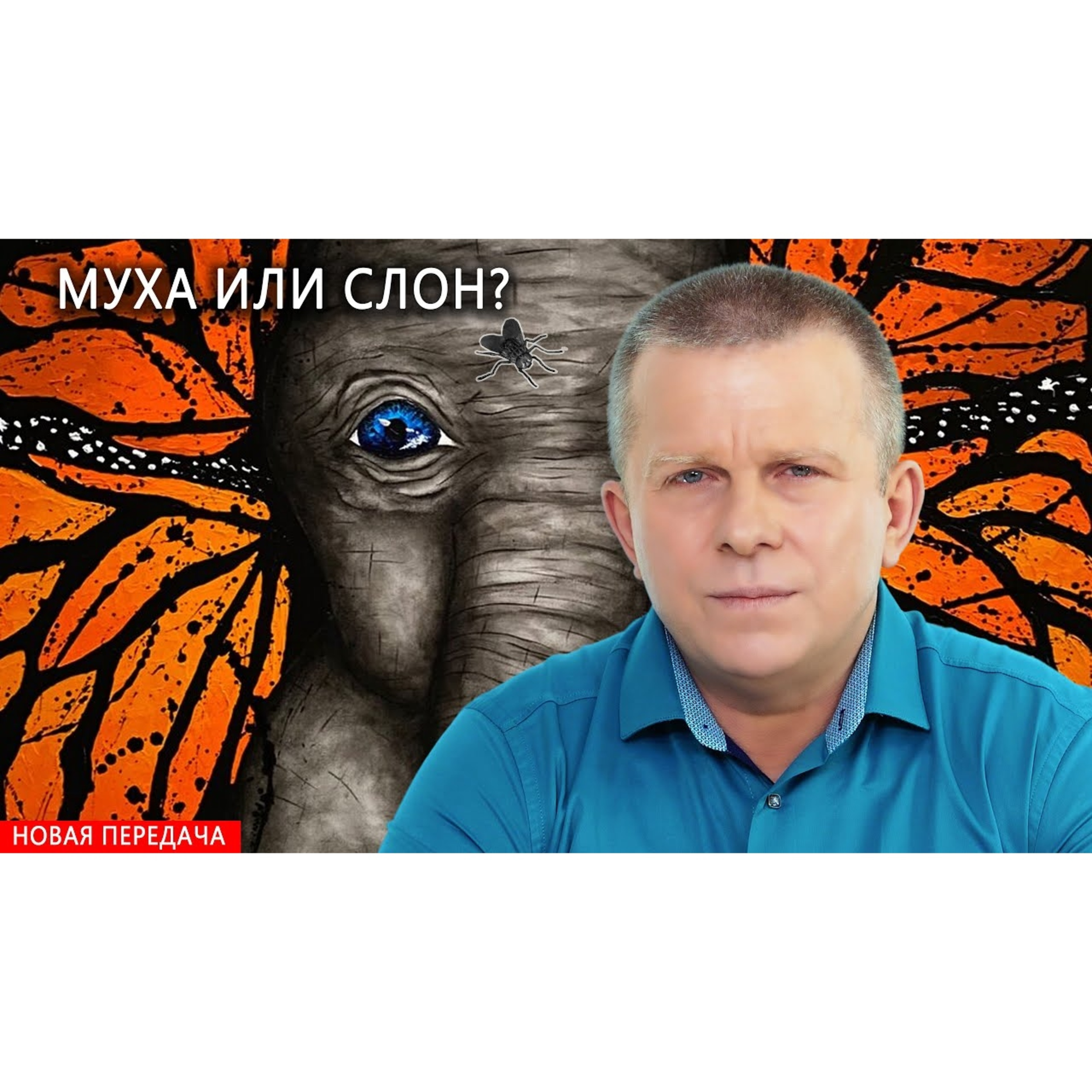 МУХА ИЛИ СЛОН? episode artwork