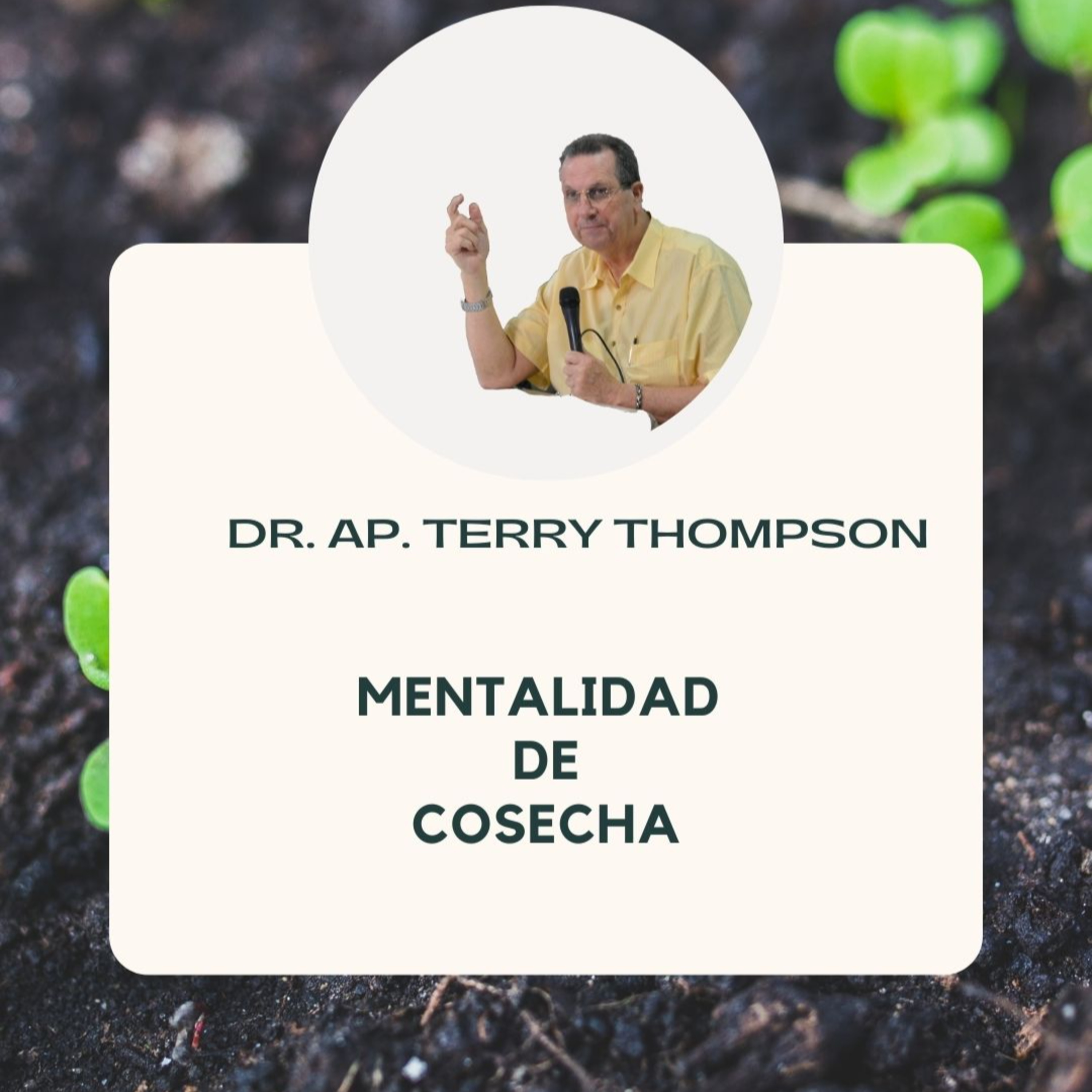 Reflexiones de Mentoreo y Apostolado
