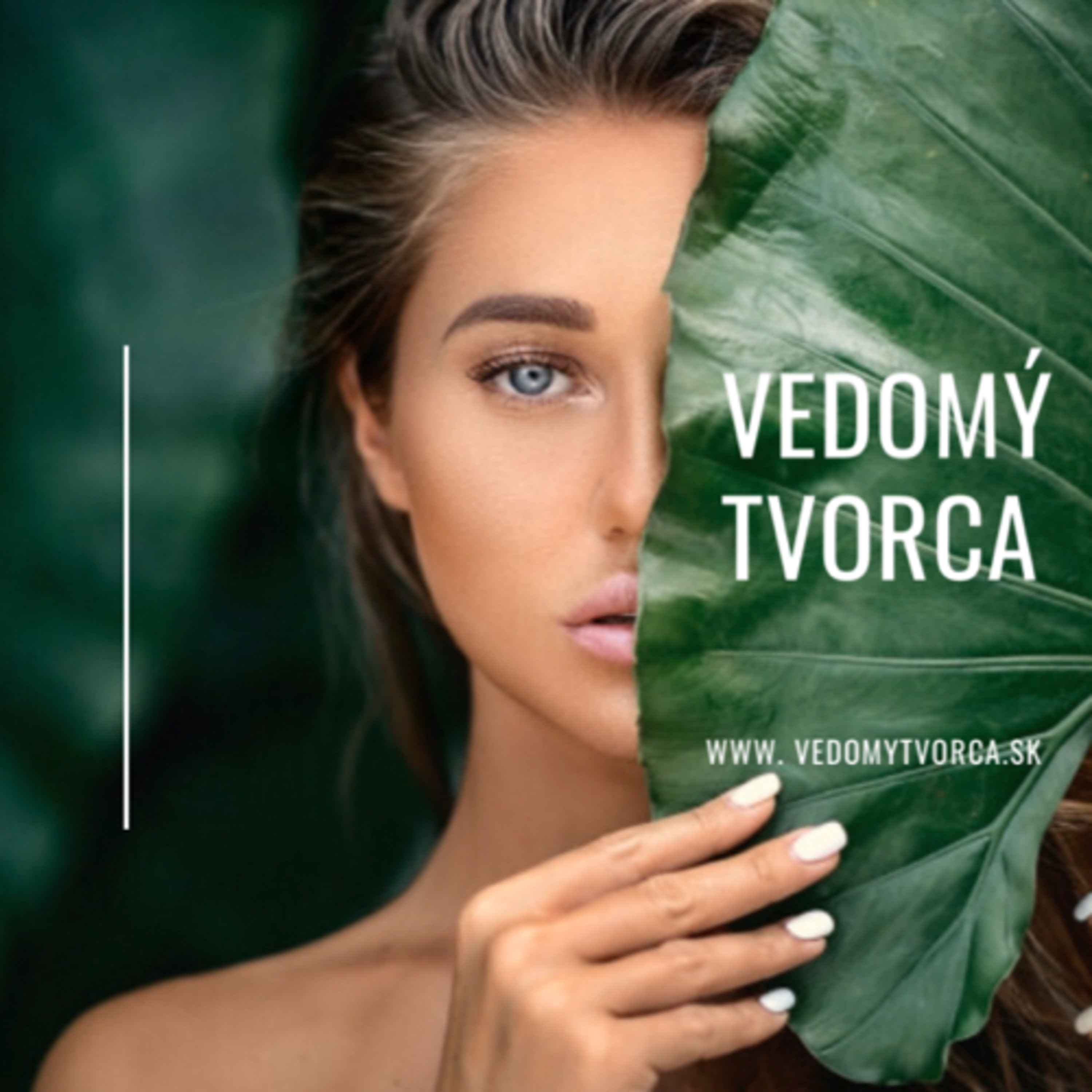 Meditácia Vedomého Tvorcu