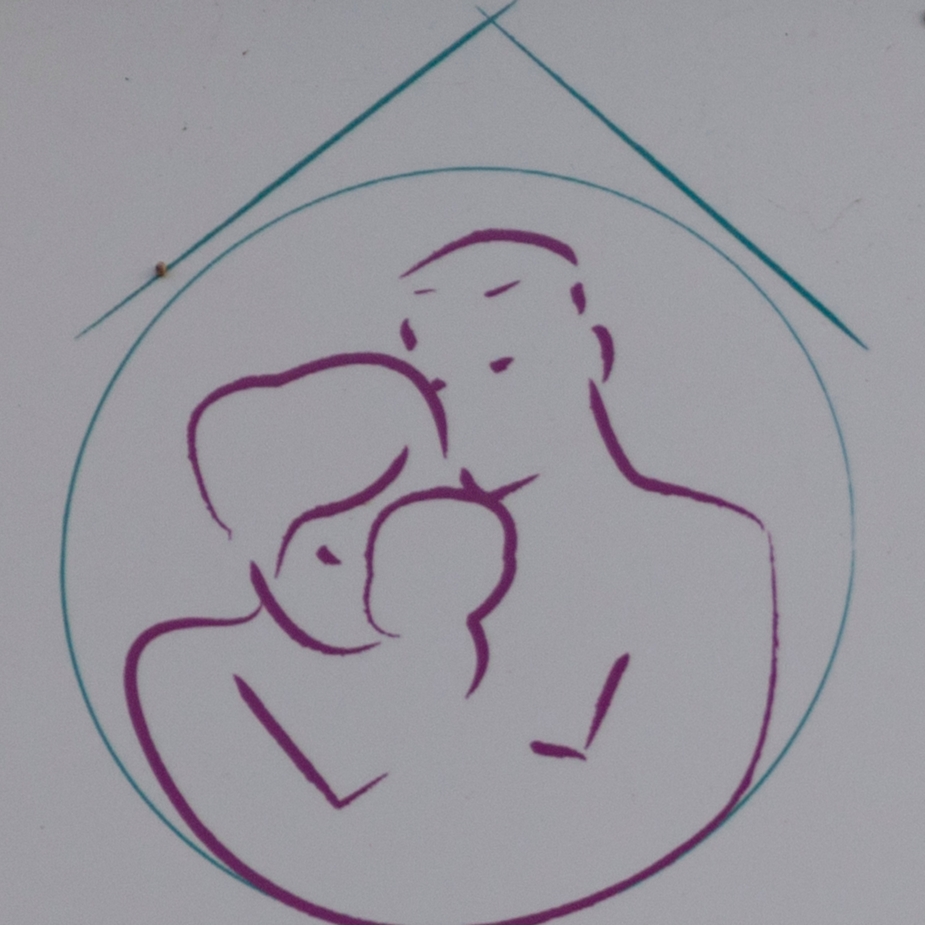 E3 S1 - Immersion dans une maison de naissance