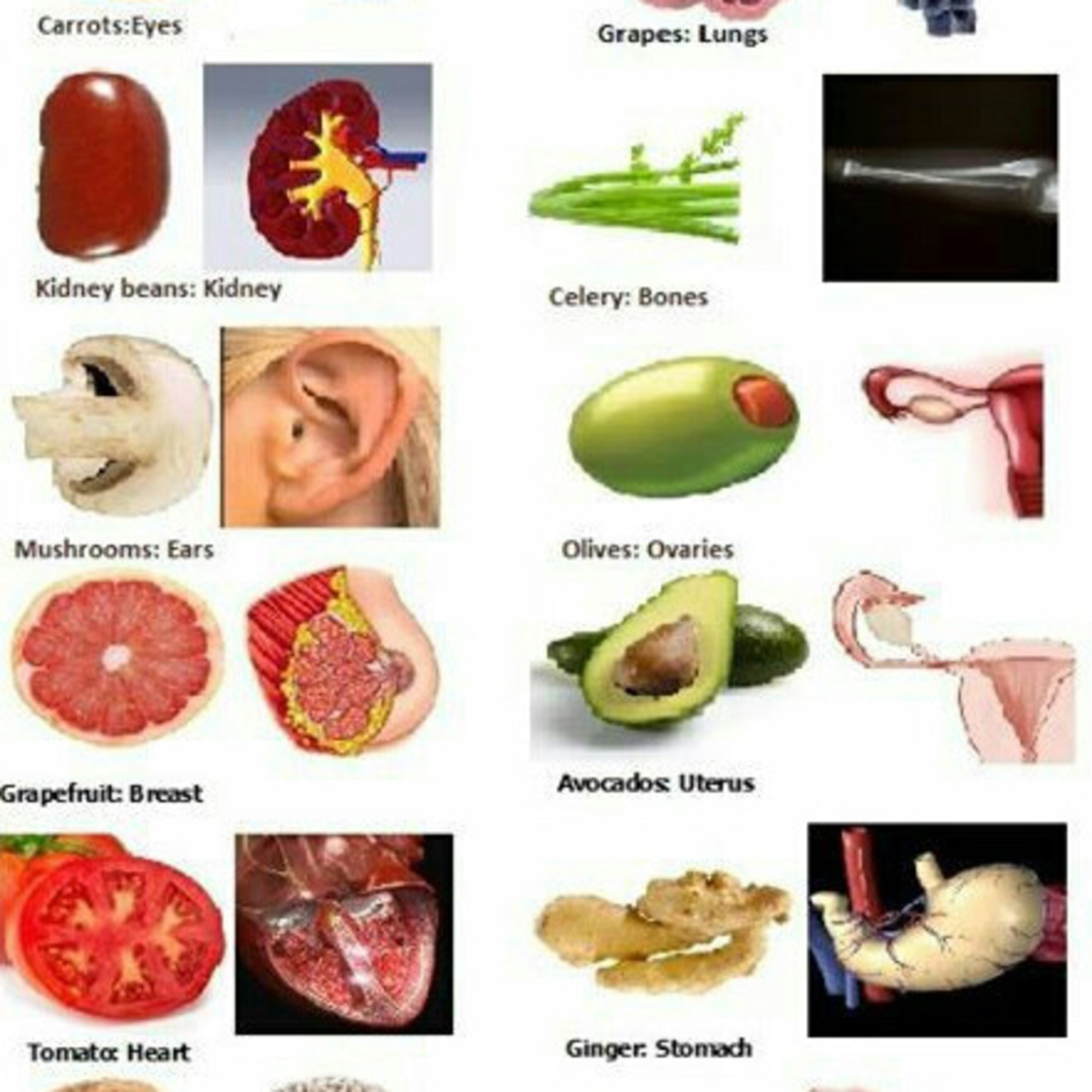 You Are What You Eat! But check this Out!