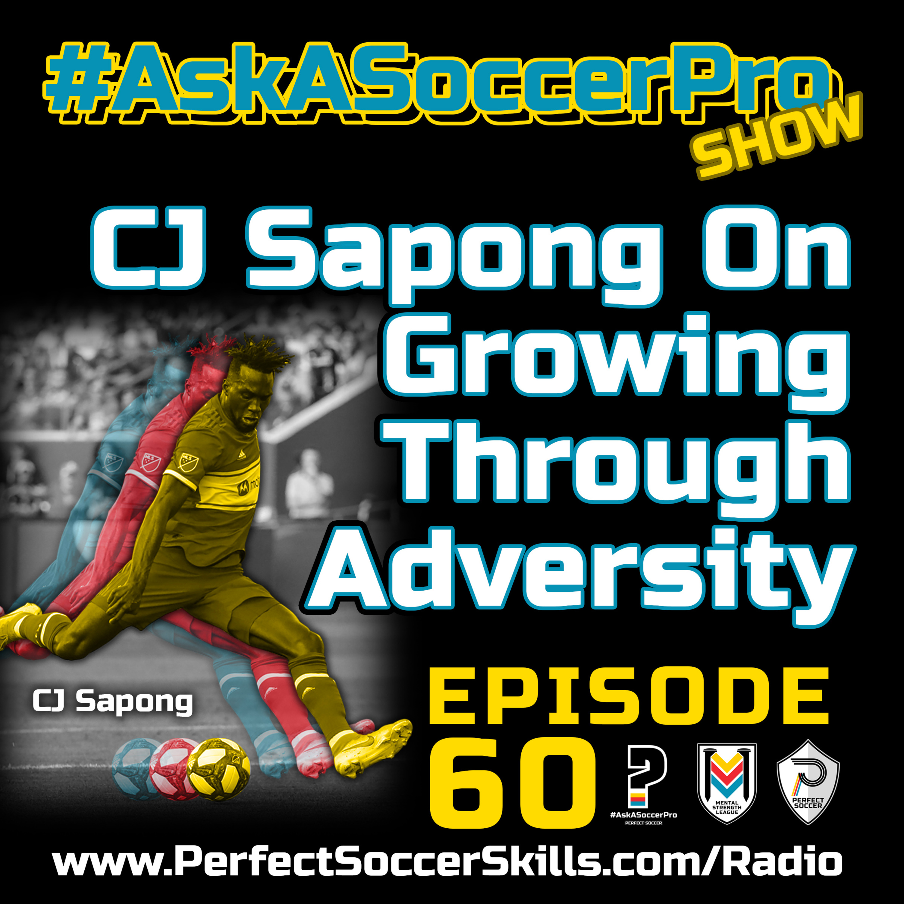 Perfect Soccer Radio
