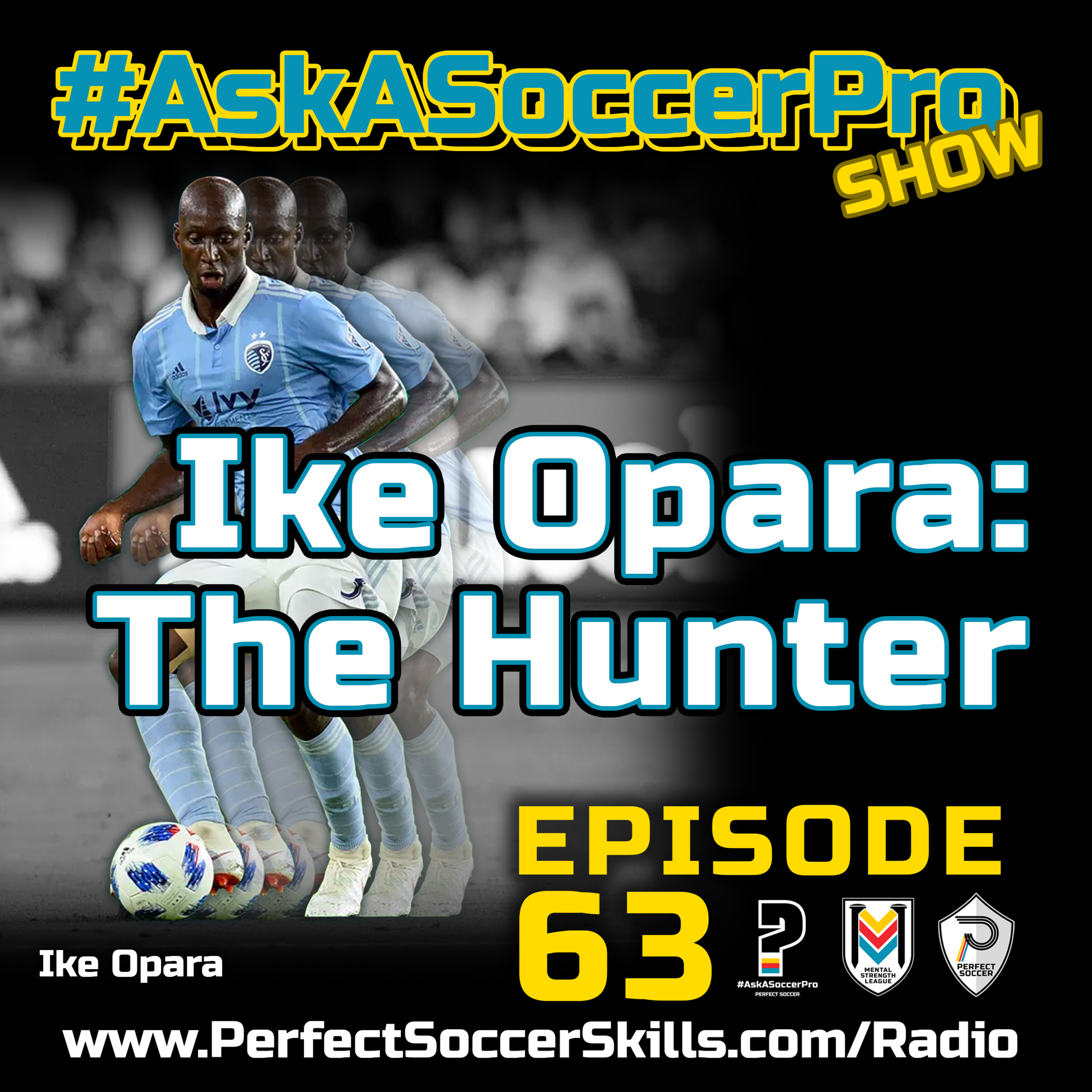 Perfect Soccer Radio