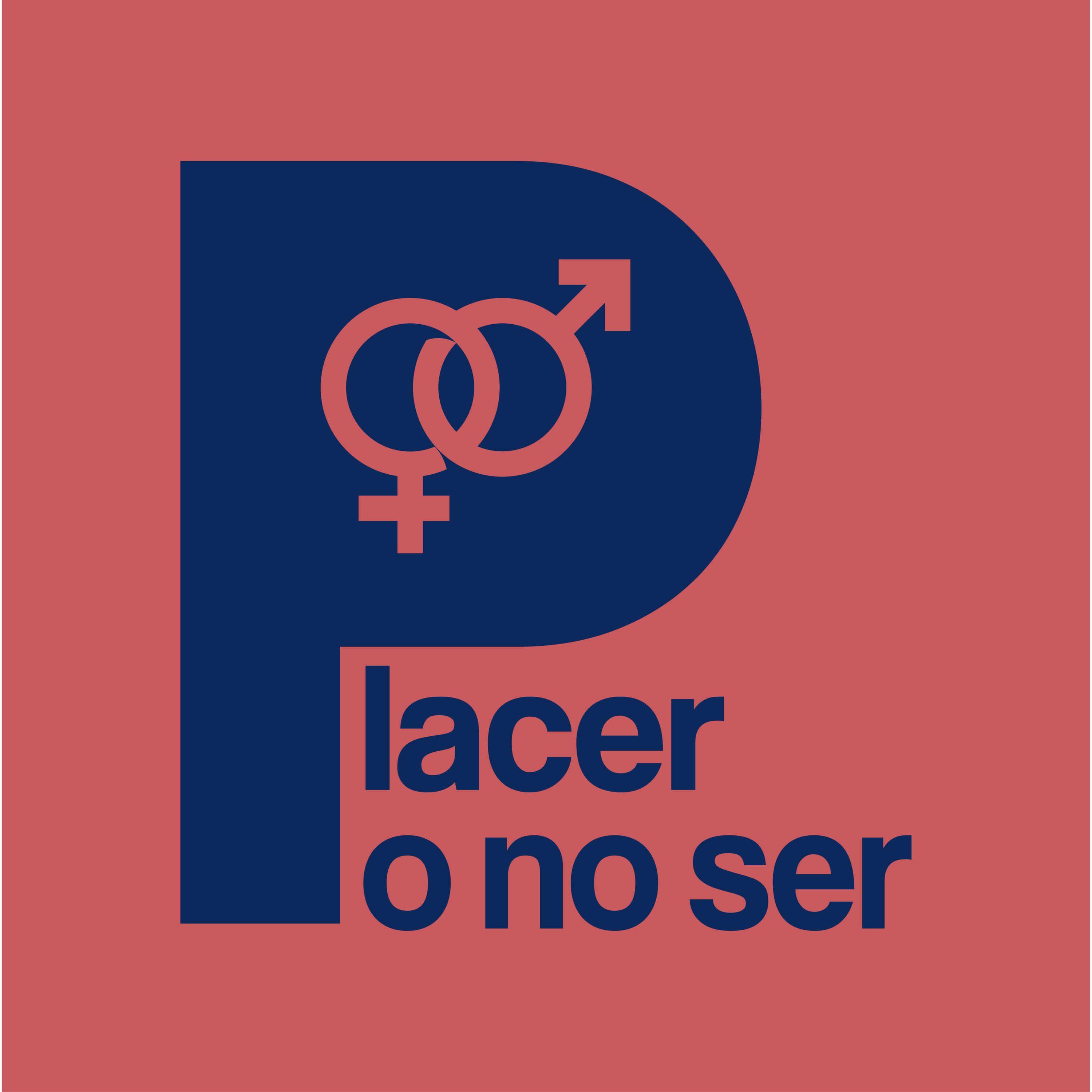 Placer o no Ser