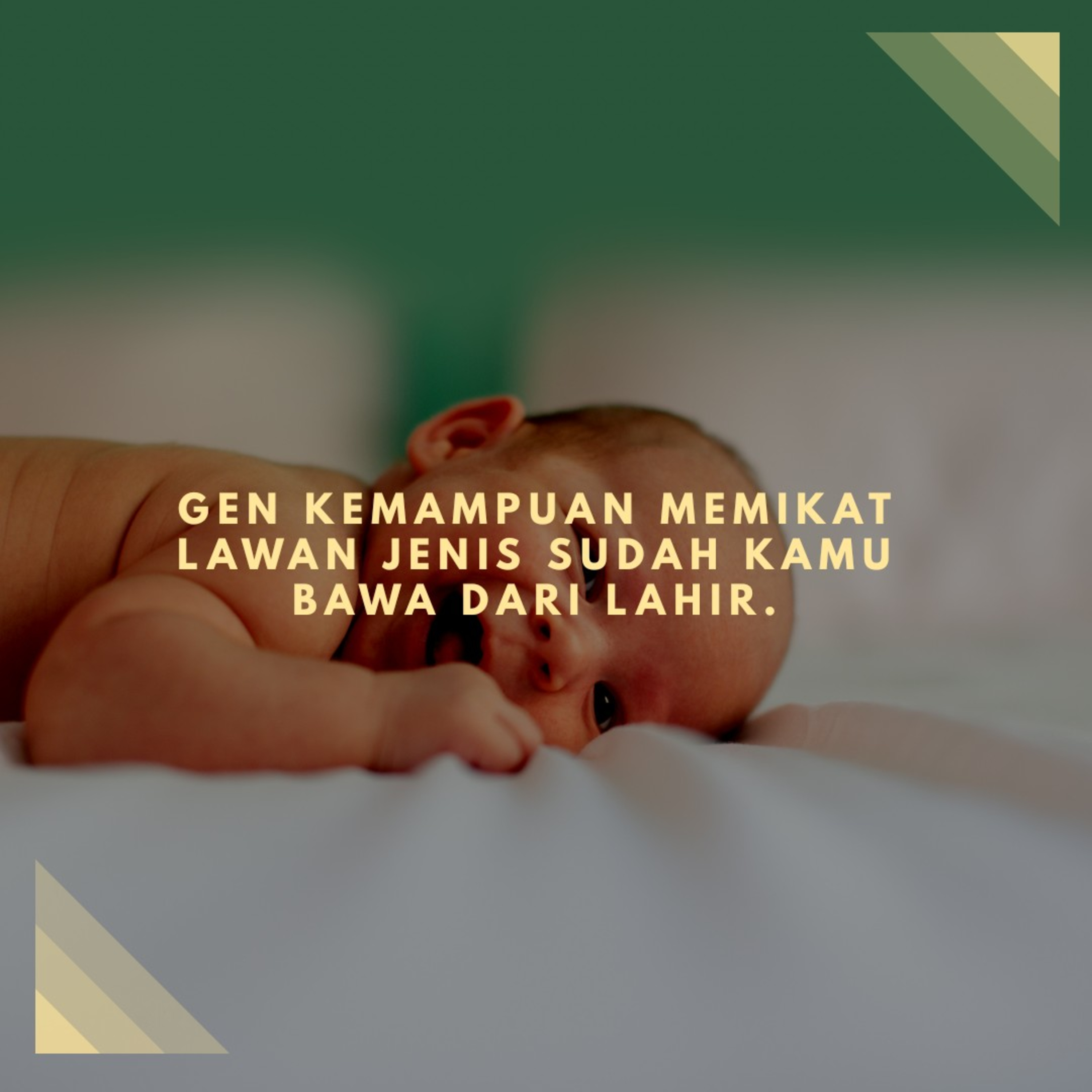 Ruang Katalis
