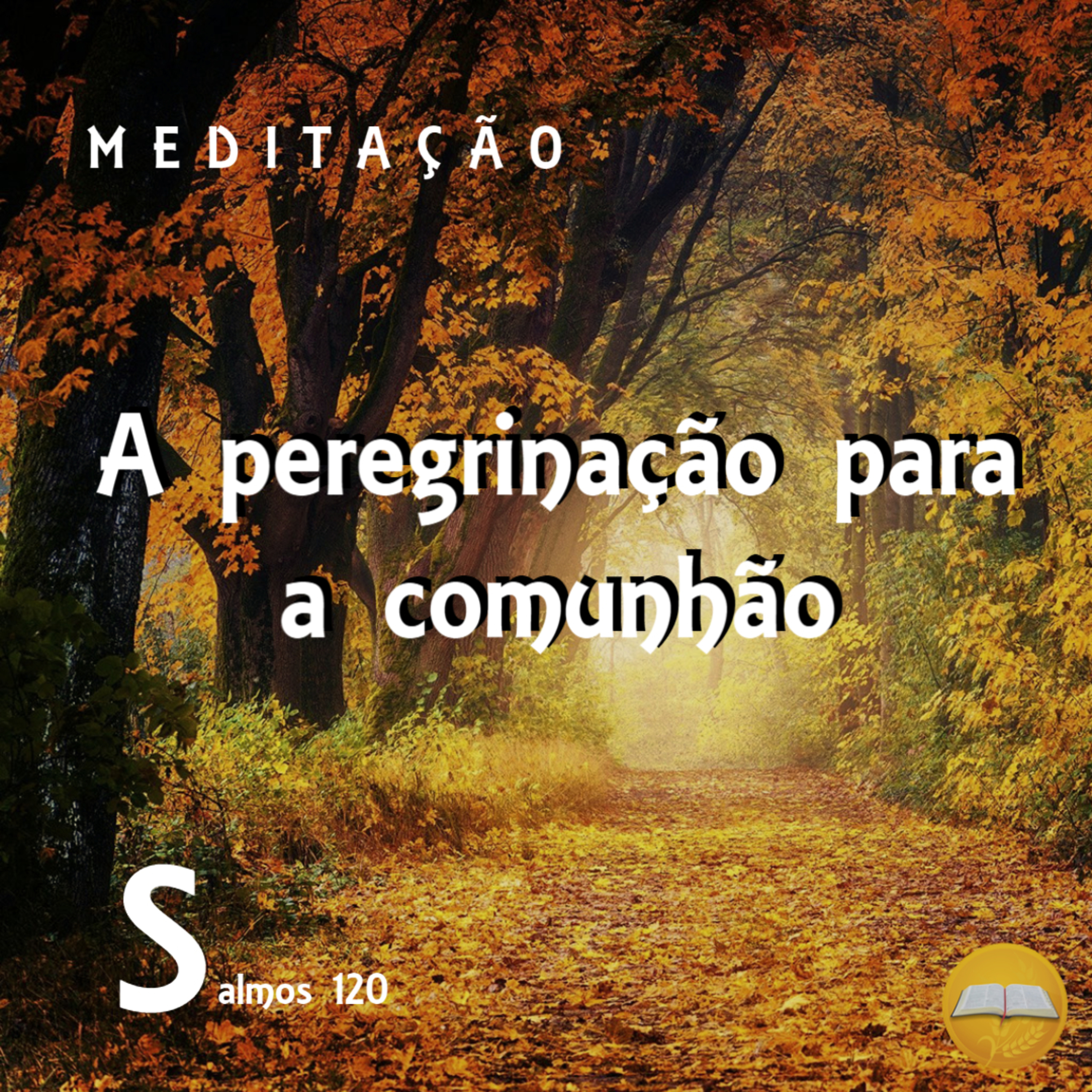 Salmo 120 - A peregrinação para a comunhão episode artwork