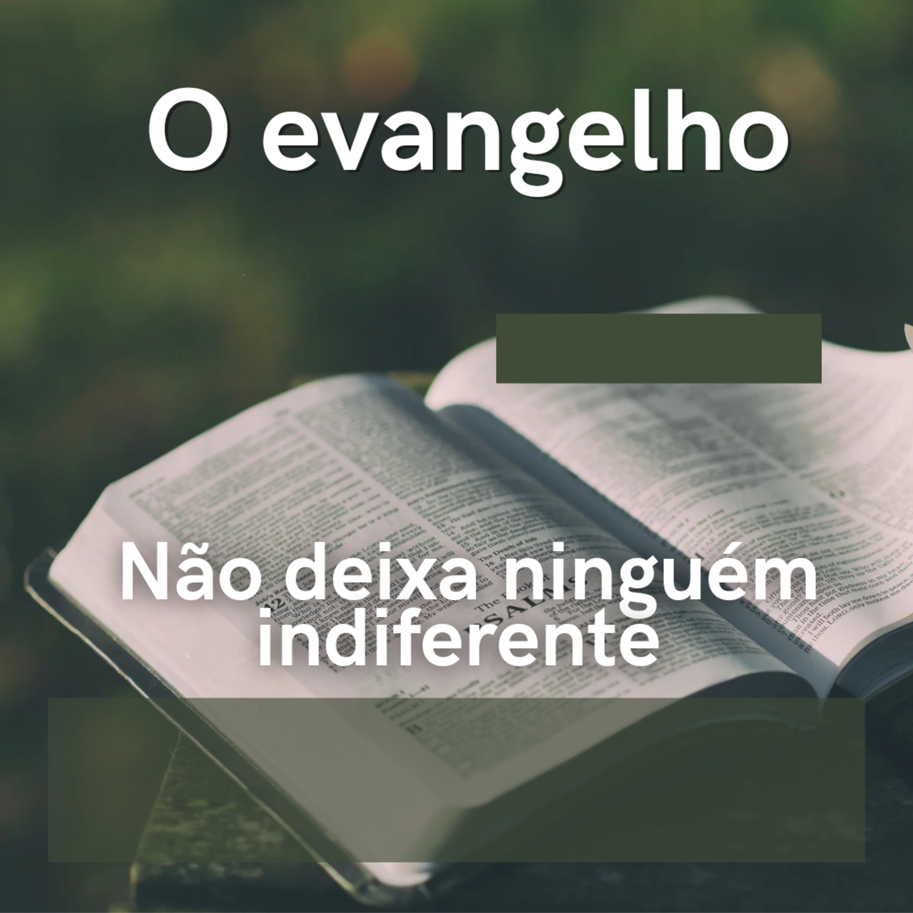 O evangelho não deixa ninguém indiferente episode artwork