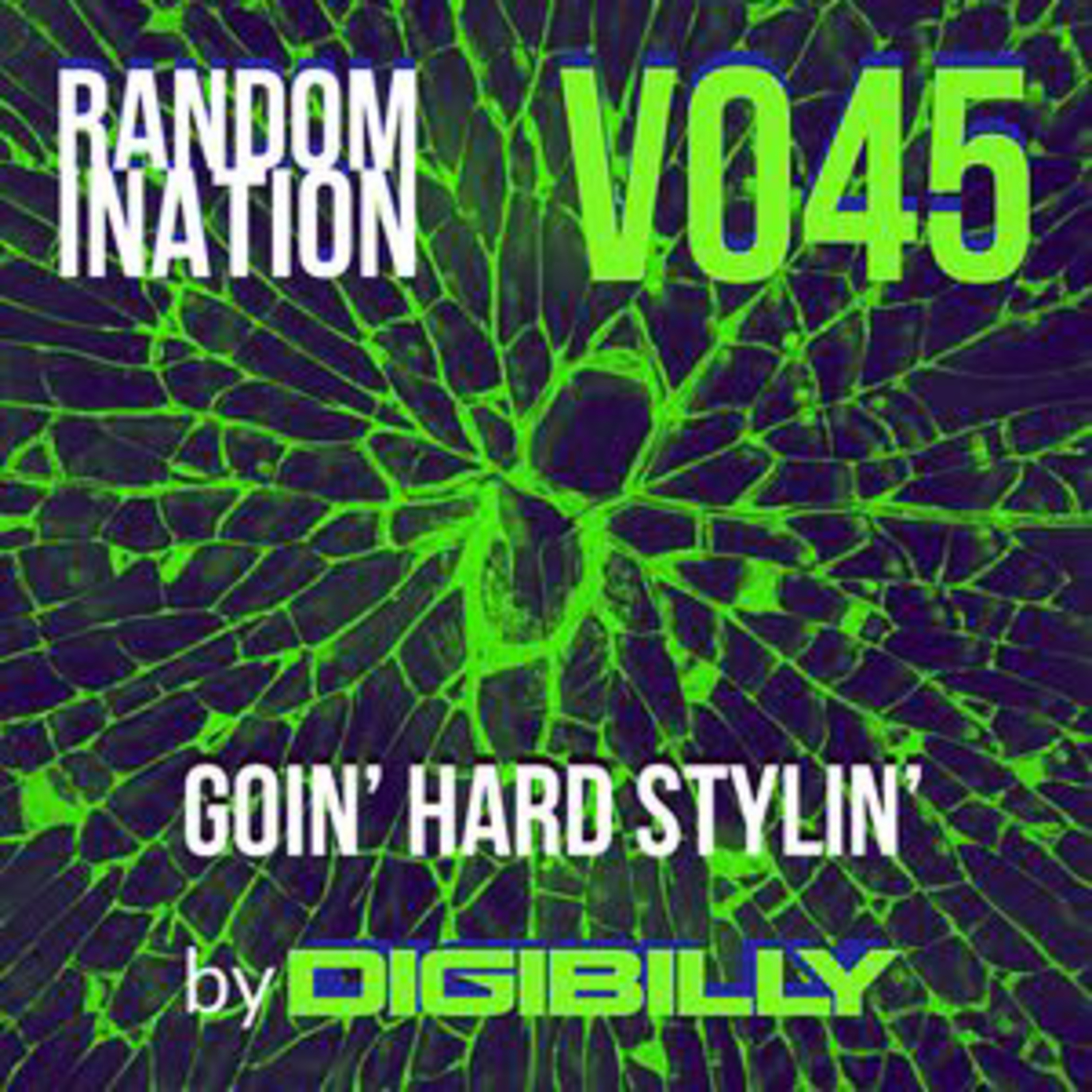 Randomination V045 - Goin' Hard Stylin'