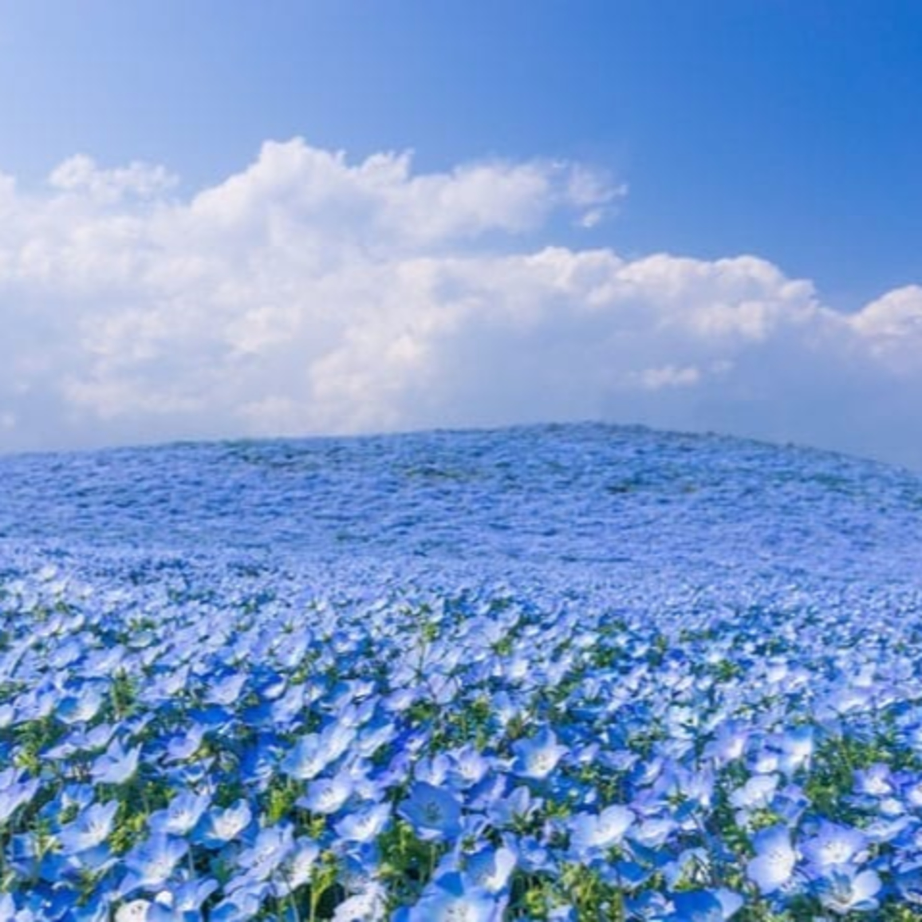 The Most Unattractive Prefectures in Japan 