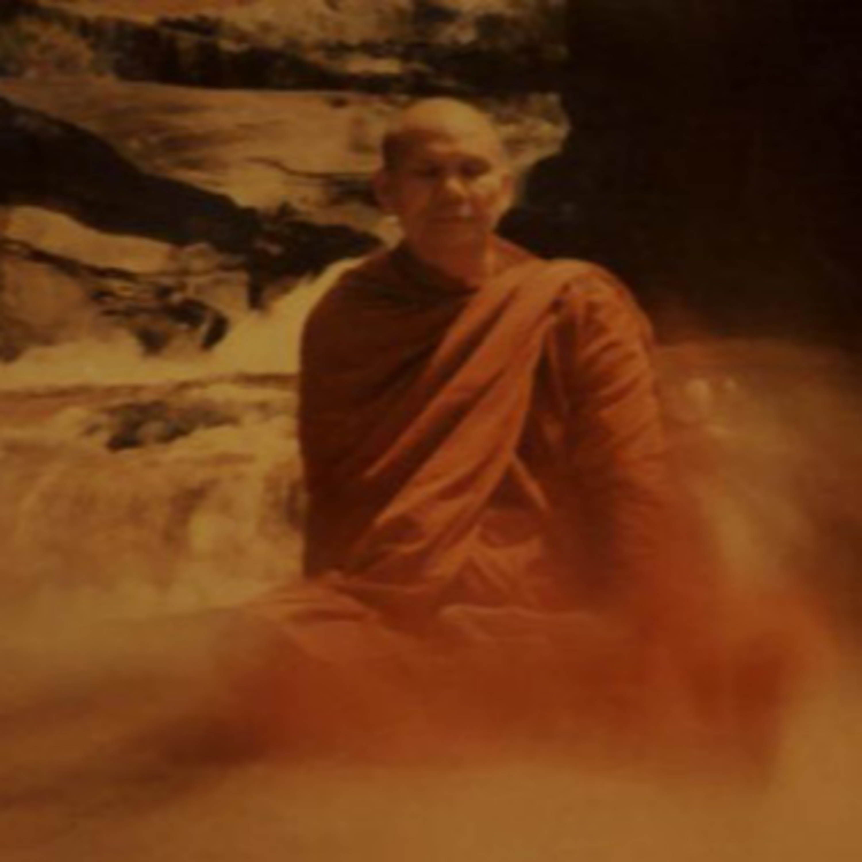 Dharma Talk by Luongta