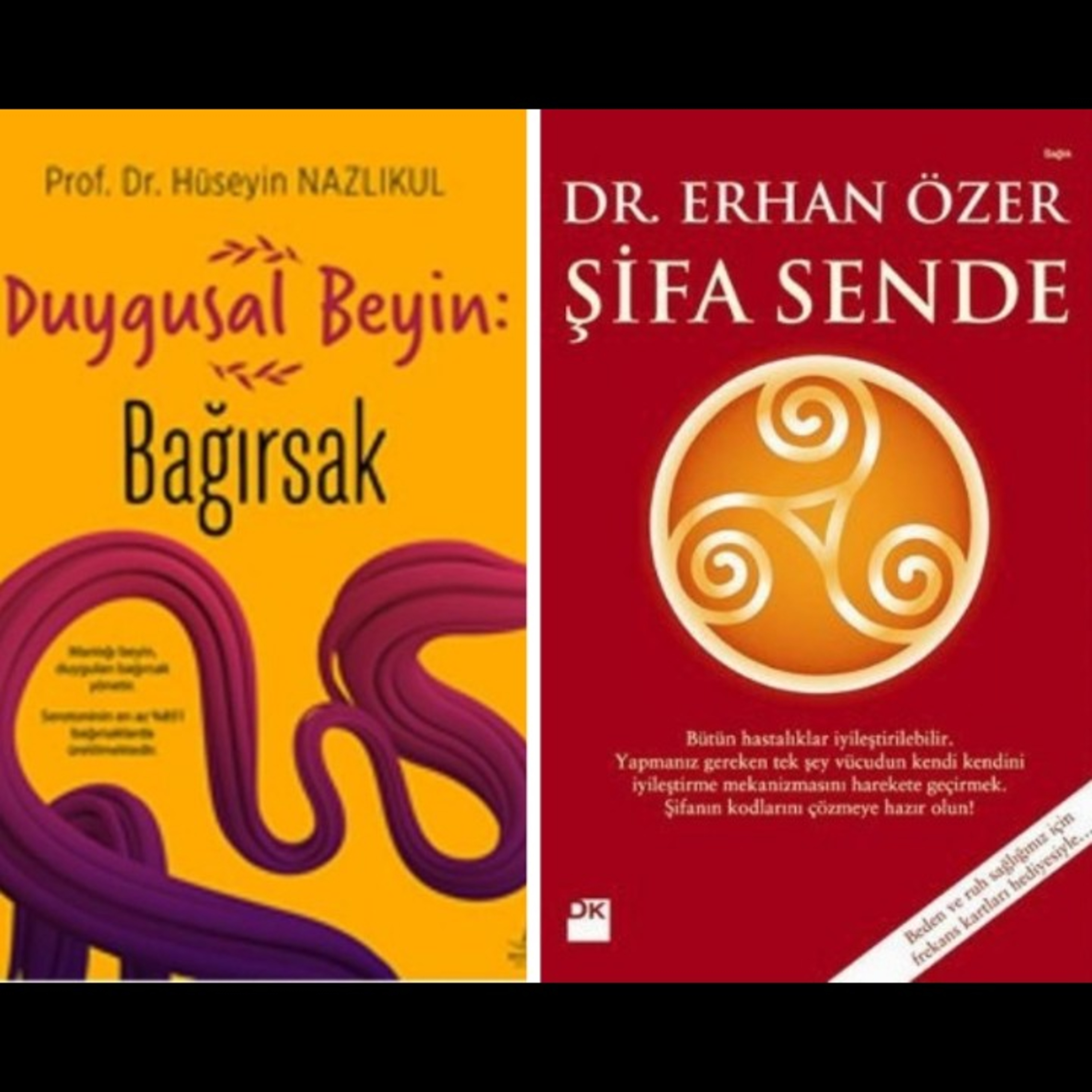 Duygusal Beyin: Bağırsak, Şifa Sende episode artwork